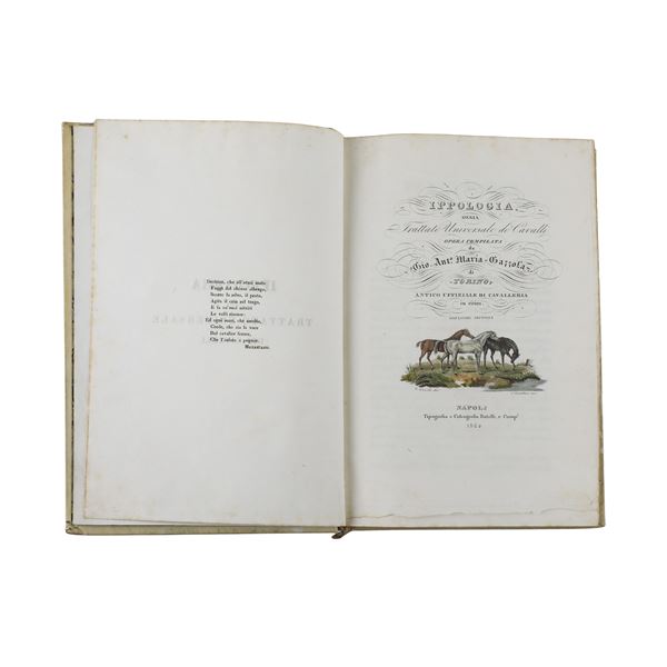 Ippologia ossia Trattato Universale de’ Cavalli