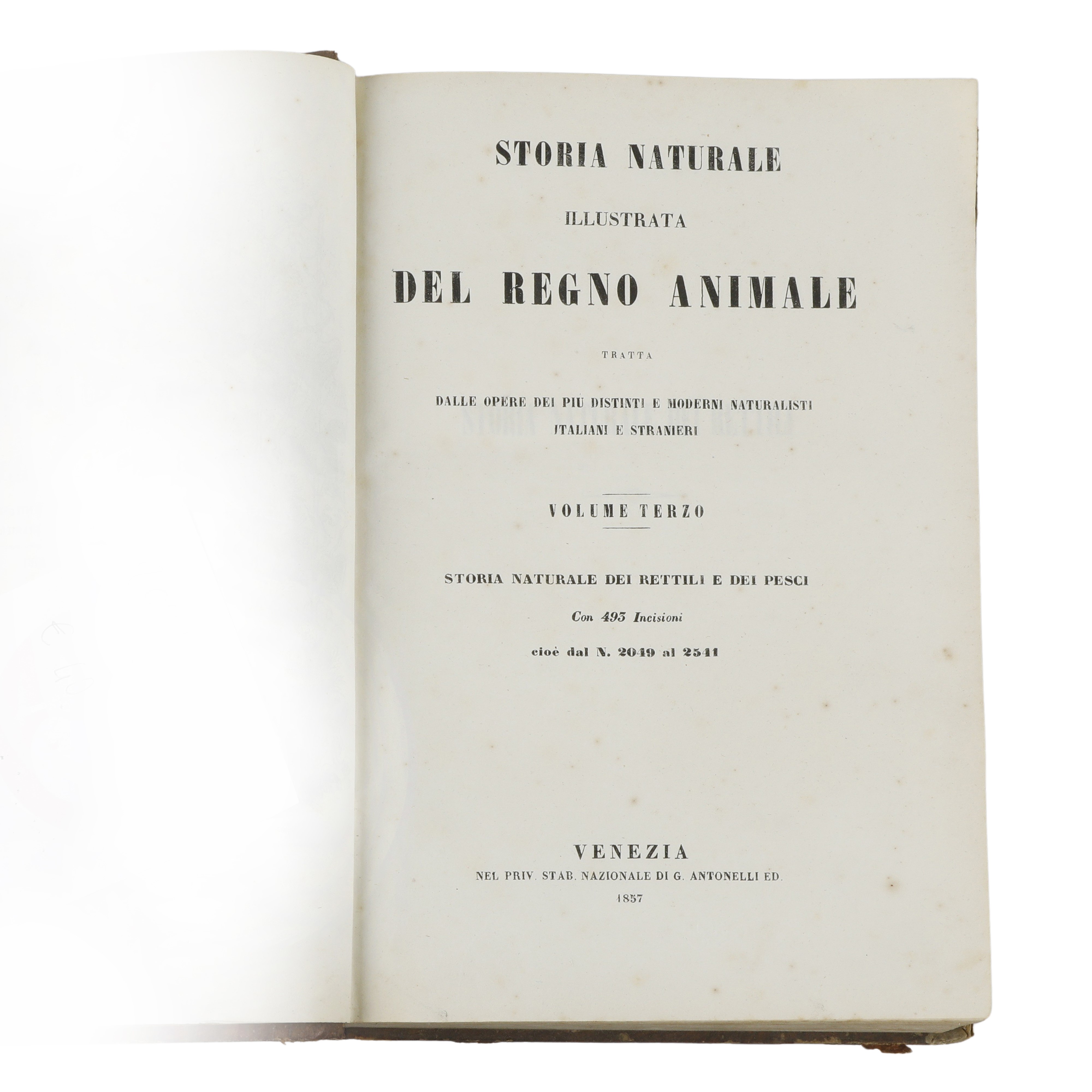 AUTORI VARI. Storia Naturale Illustrata del Regno Animale. Tratta dalle opere dei più distinti e ...