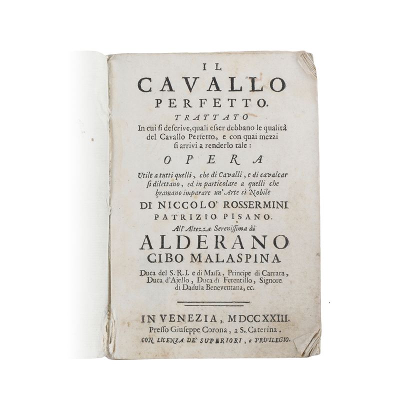 Il Cavallo perfetto di Niccolò Rossermini, patrizio pisano