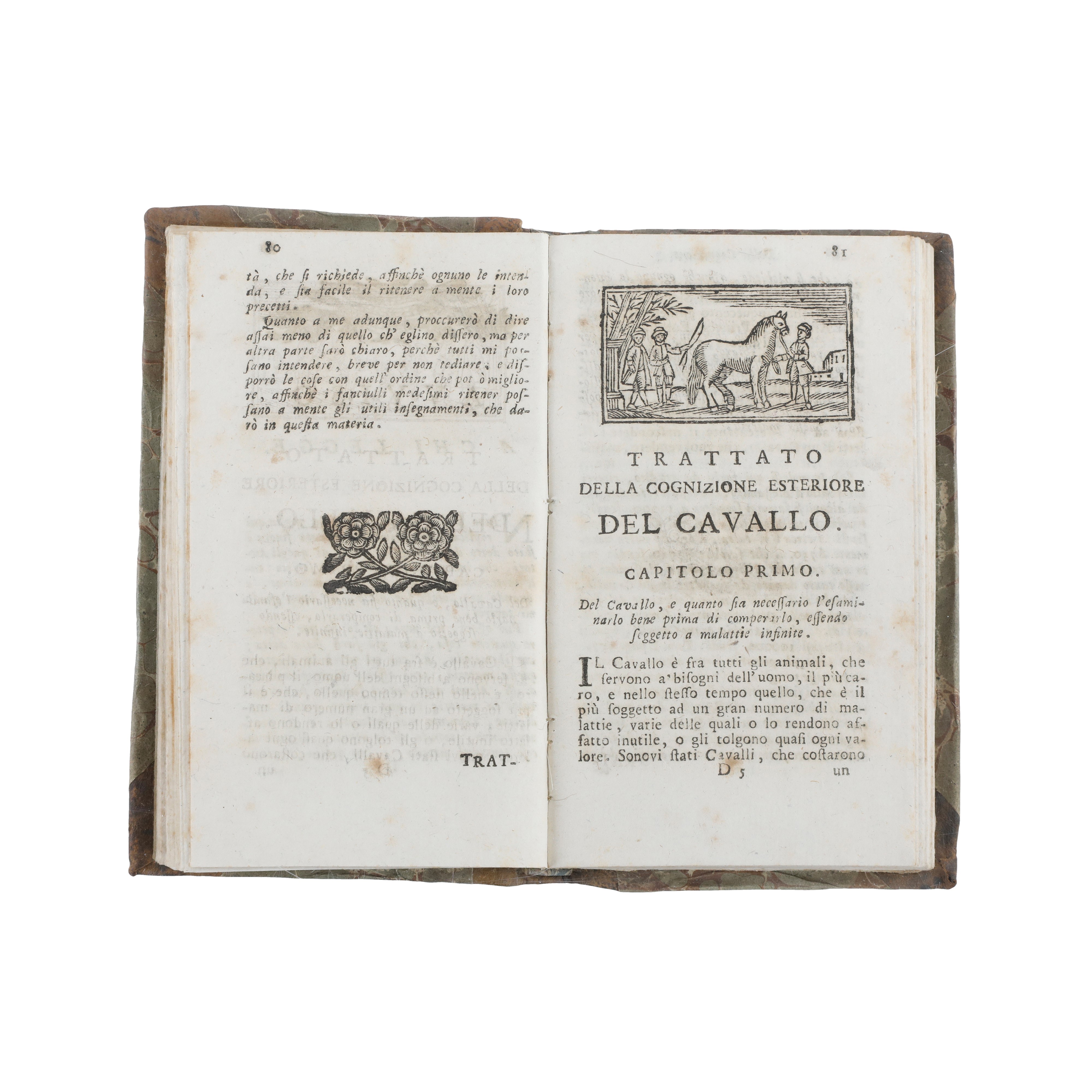 EQUILIBRIUM – Il Dilettante de' Cavalli (​ANONIMO)