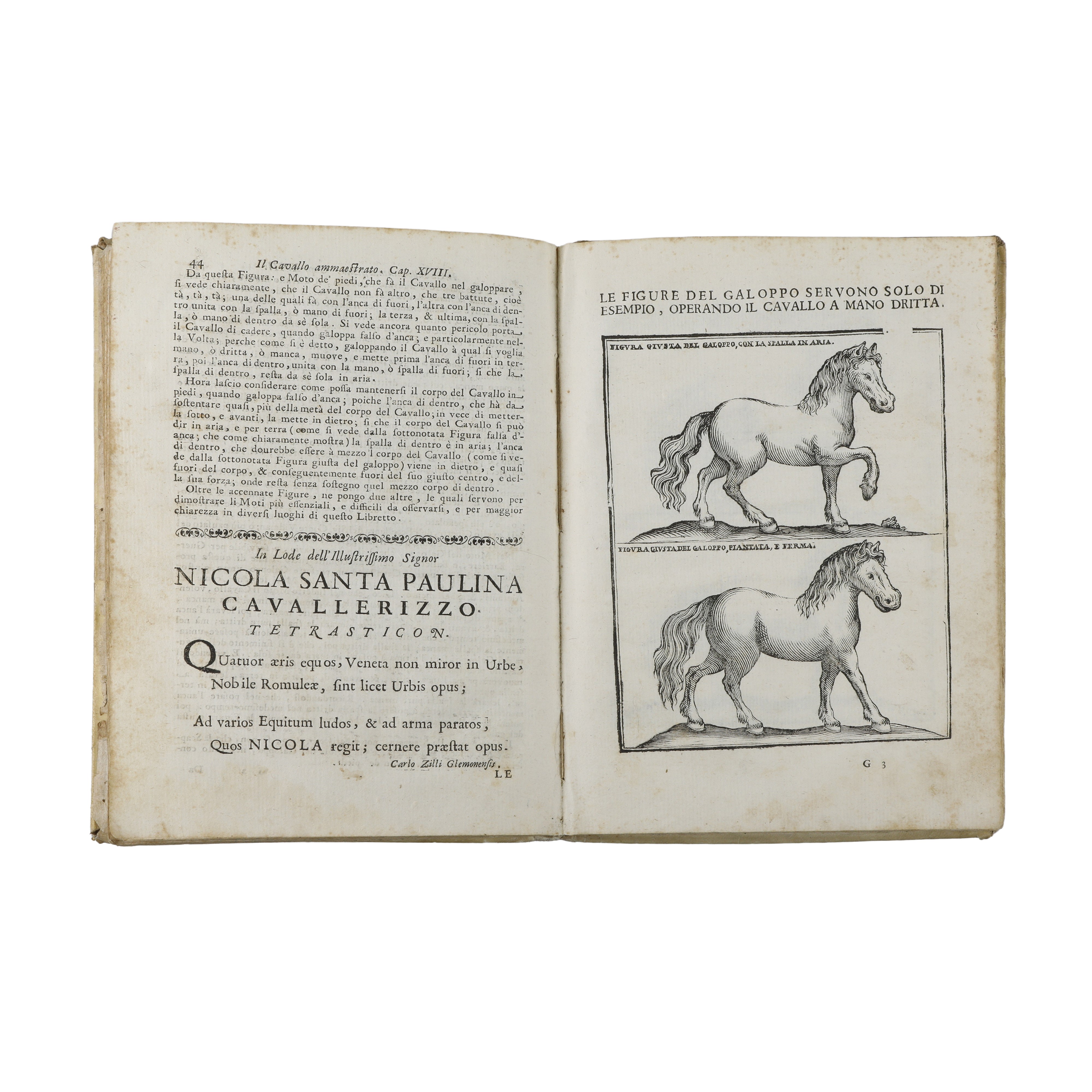 Il Cavallo Ammaestrato di Gio. Battista Persa Forlano cavallerizzo Maggiore dell’Eminentissimo Si...