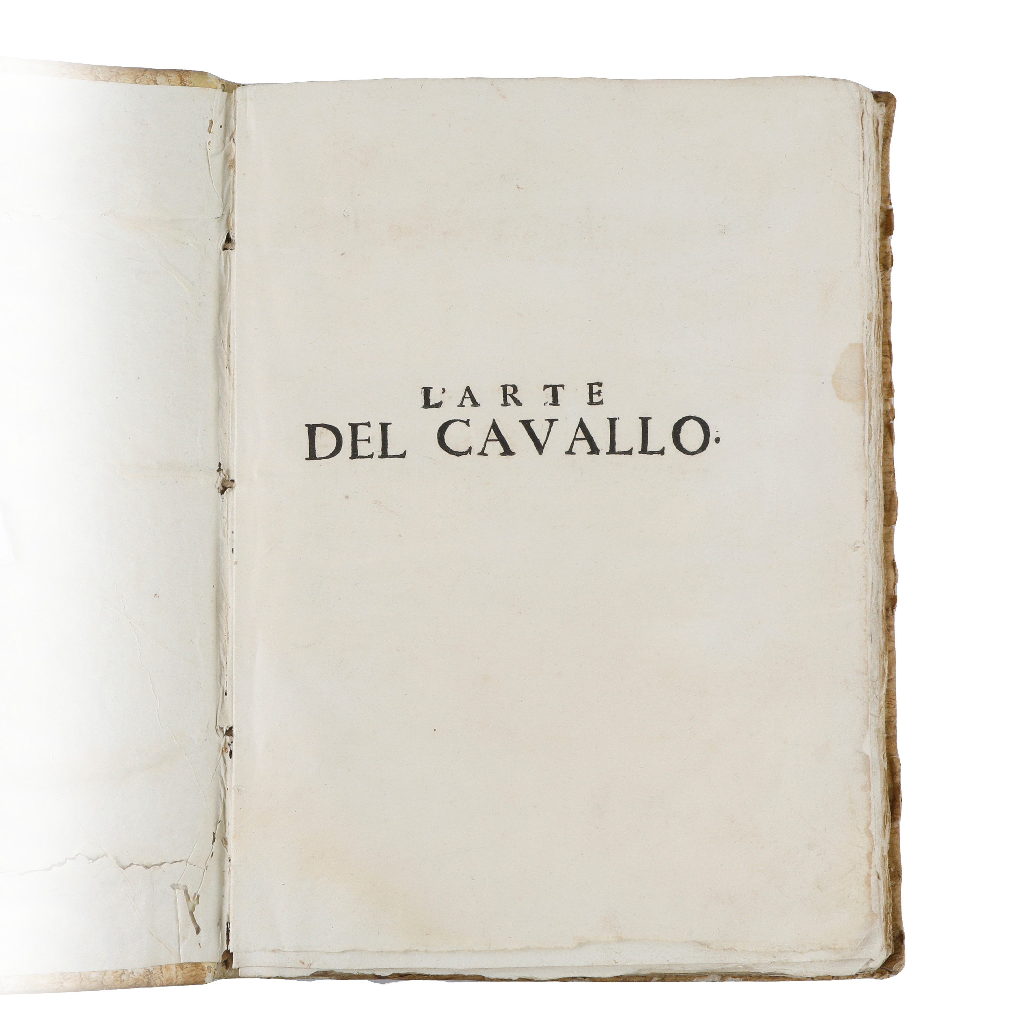 L'arte del cavallo