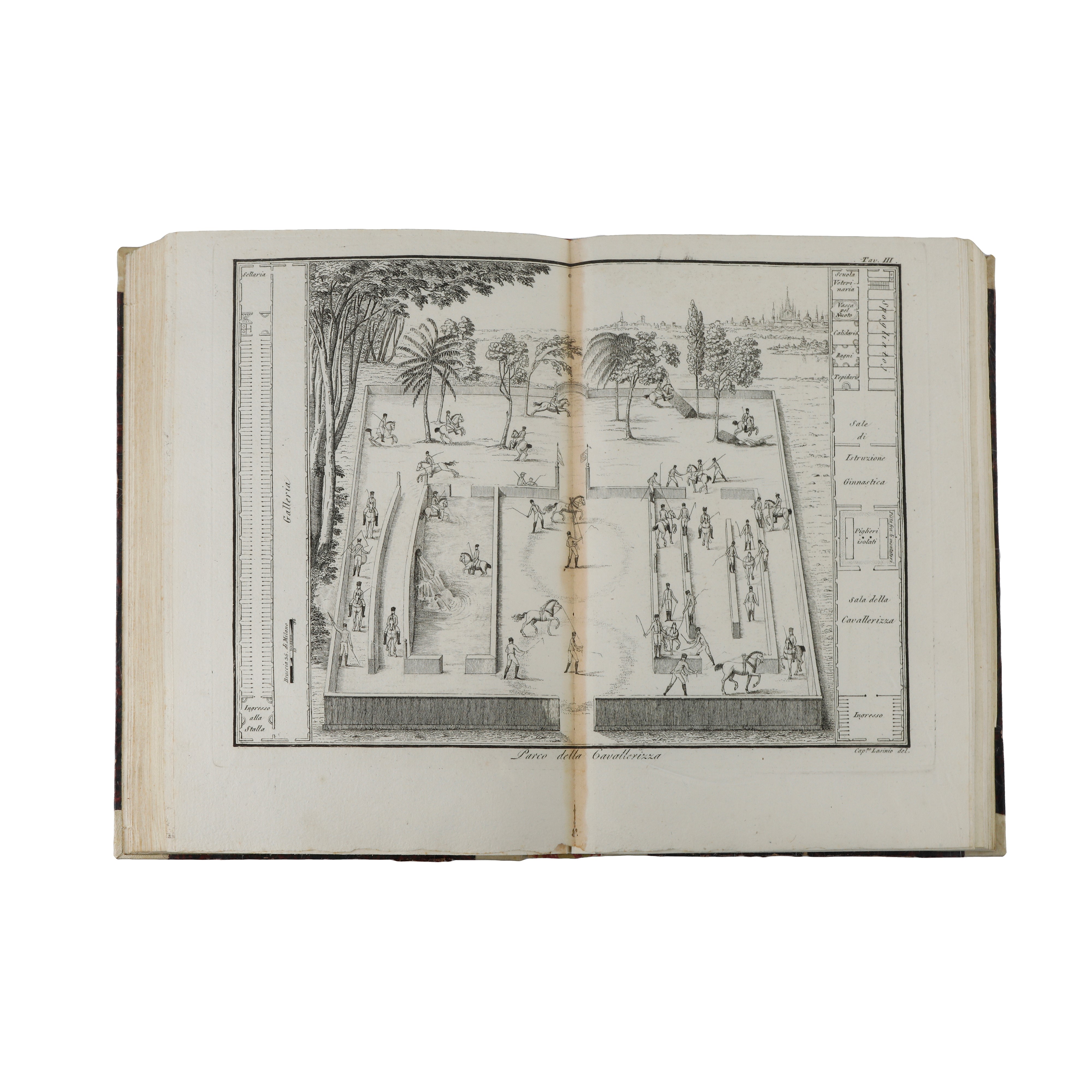 Scuola Equestre di Federico Mazzucchelli