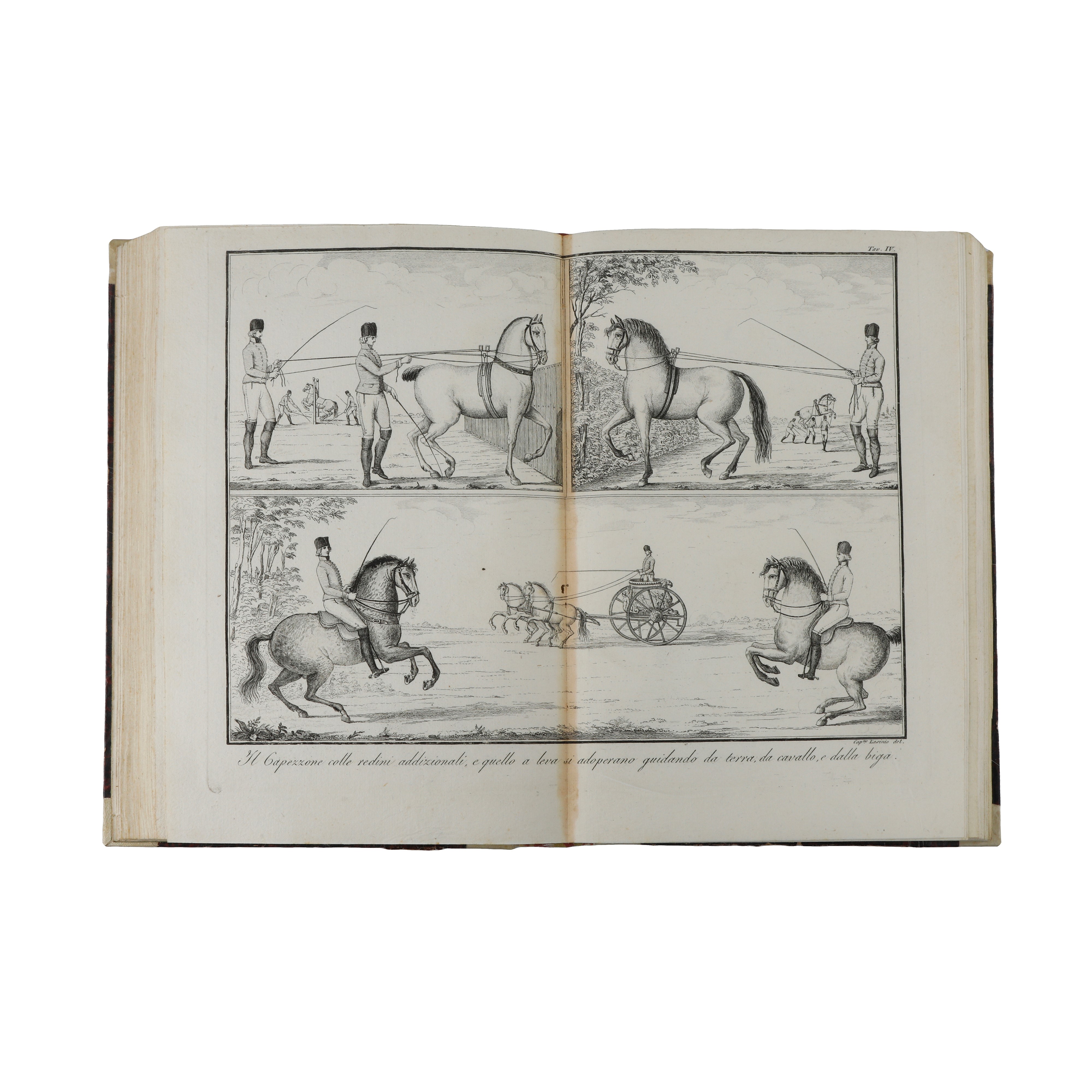 Scuola Equestre di Federico Mazzucchelli