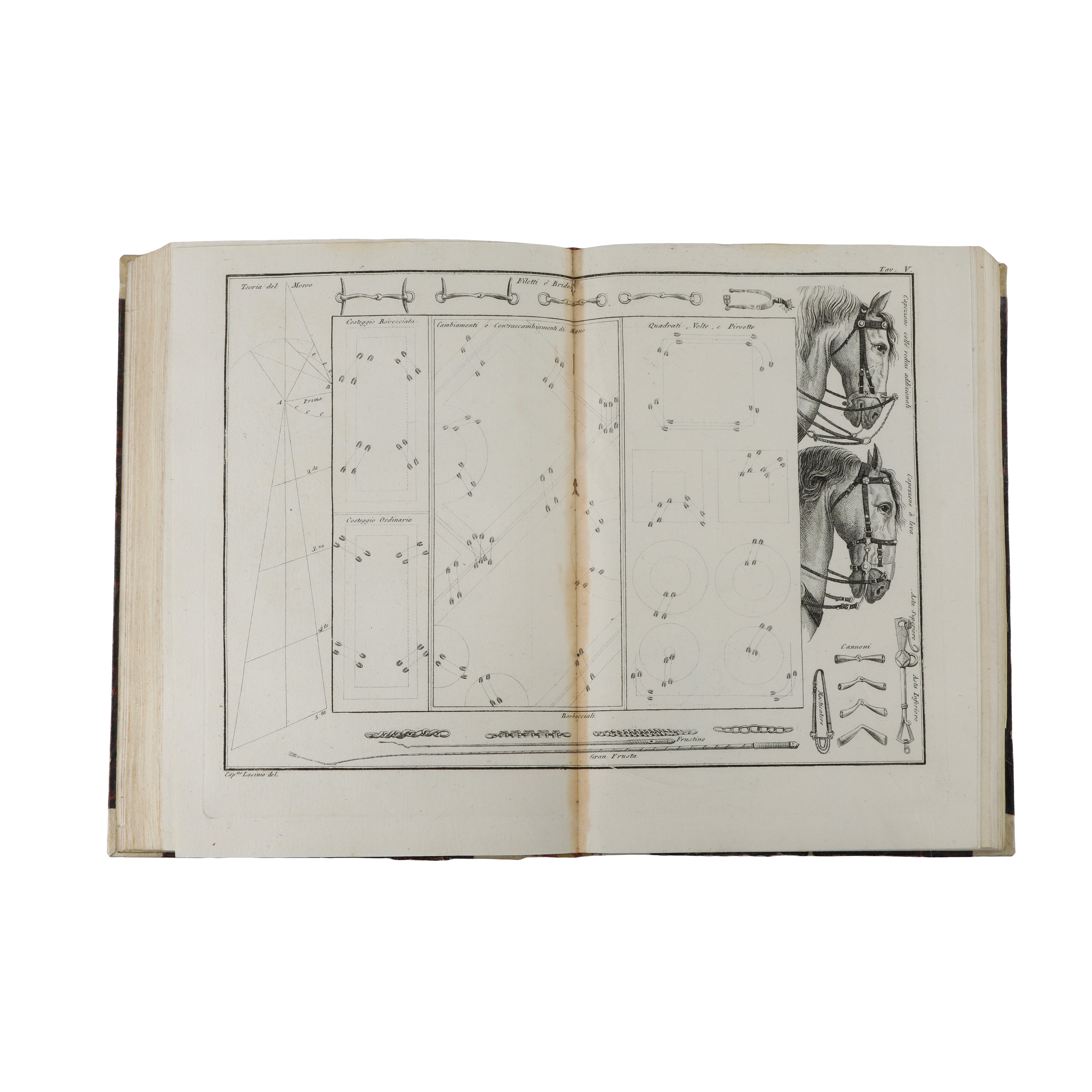 Scuola Equestre di Federico Mazzucchelli