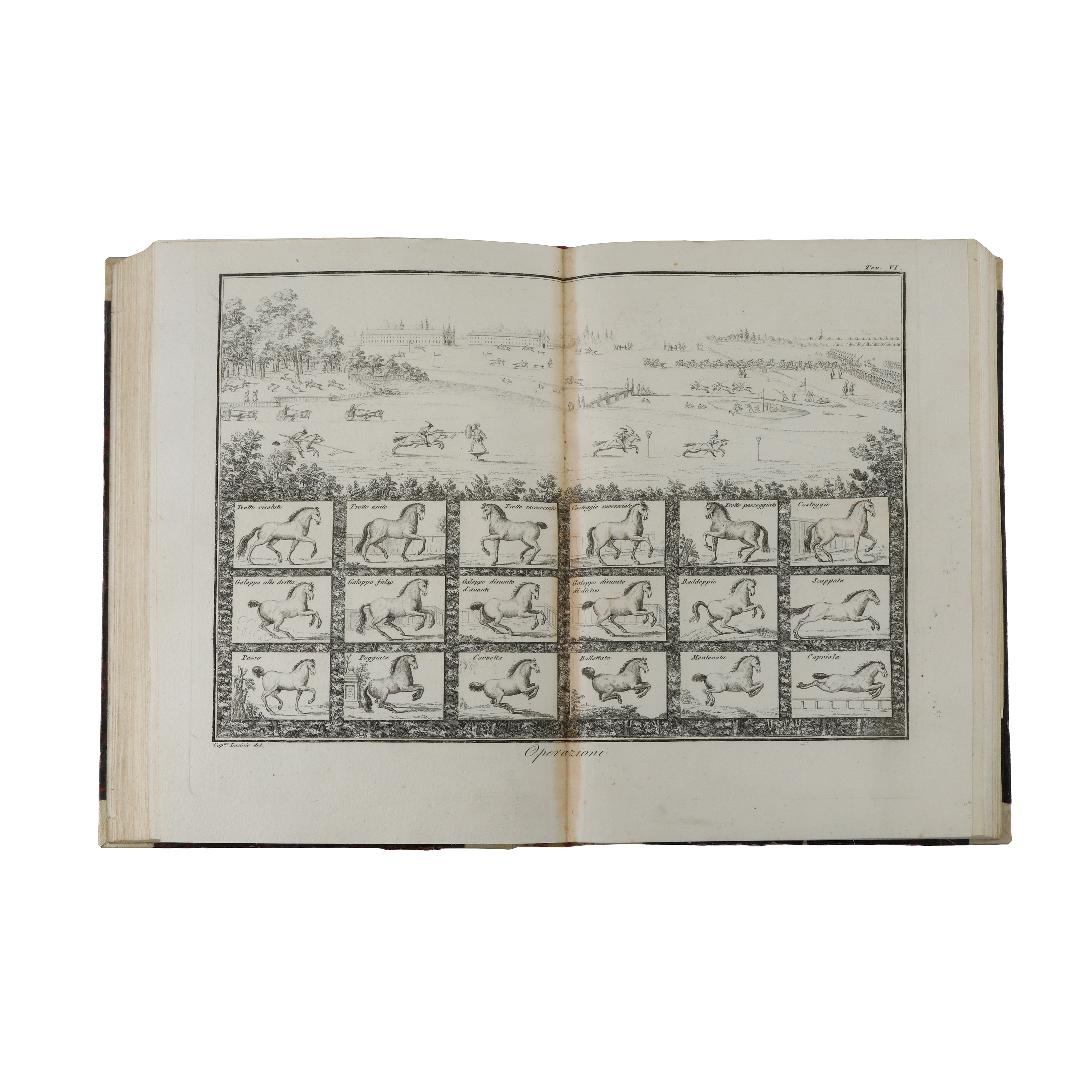 Scuola Equestre di Federico Mazzucchelli