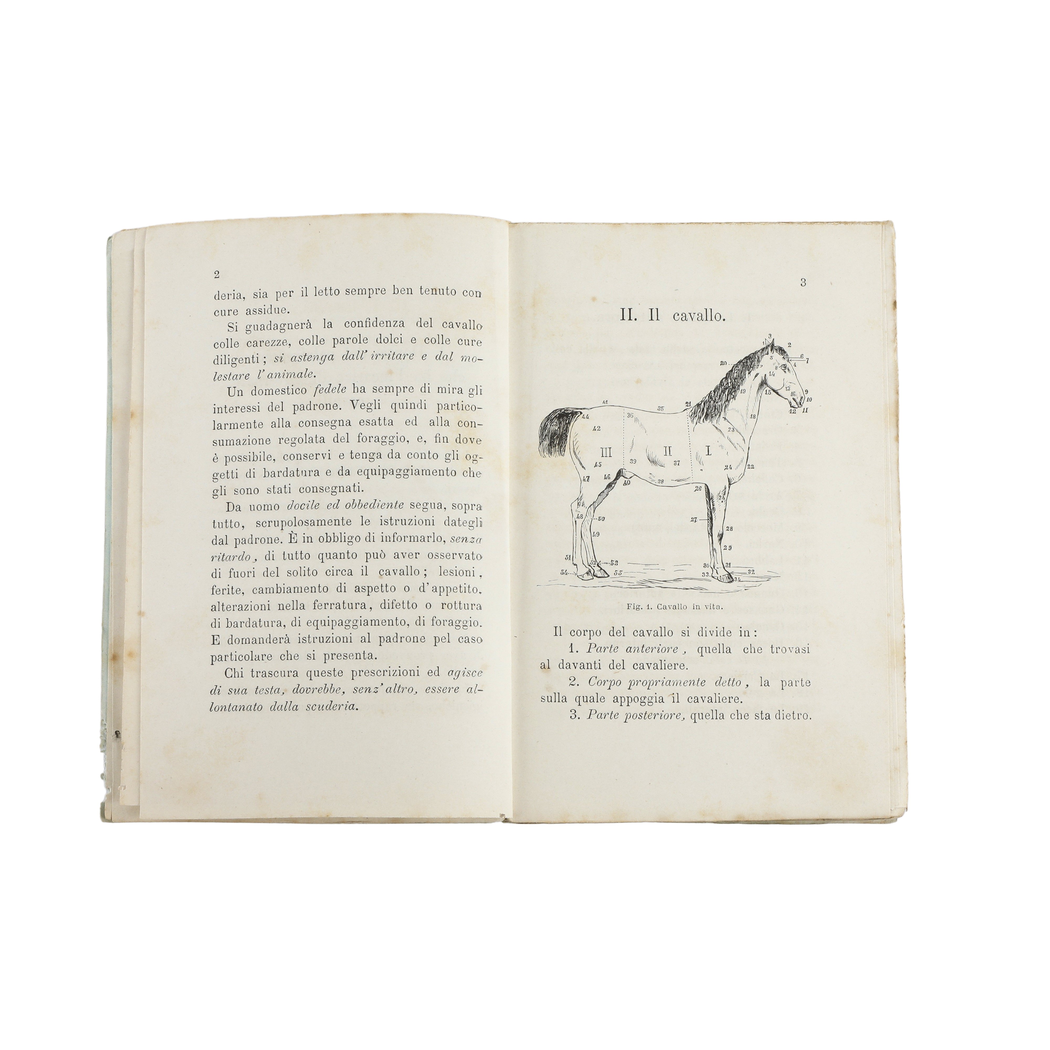 Manuale del Palafreniere Civile e Militare (1885)