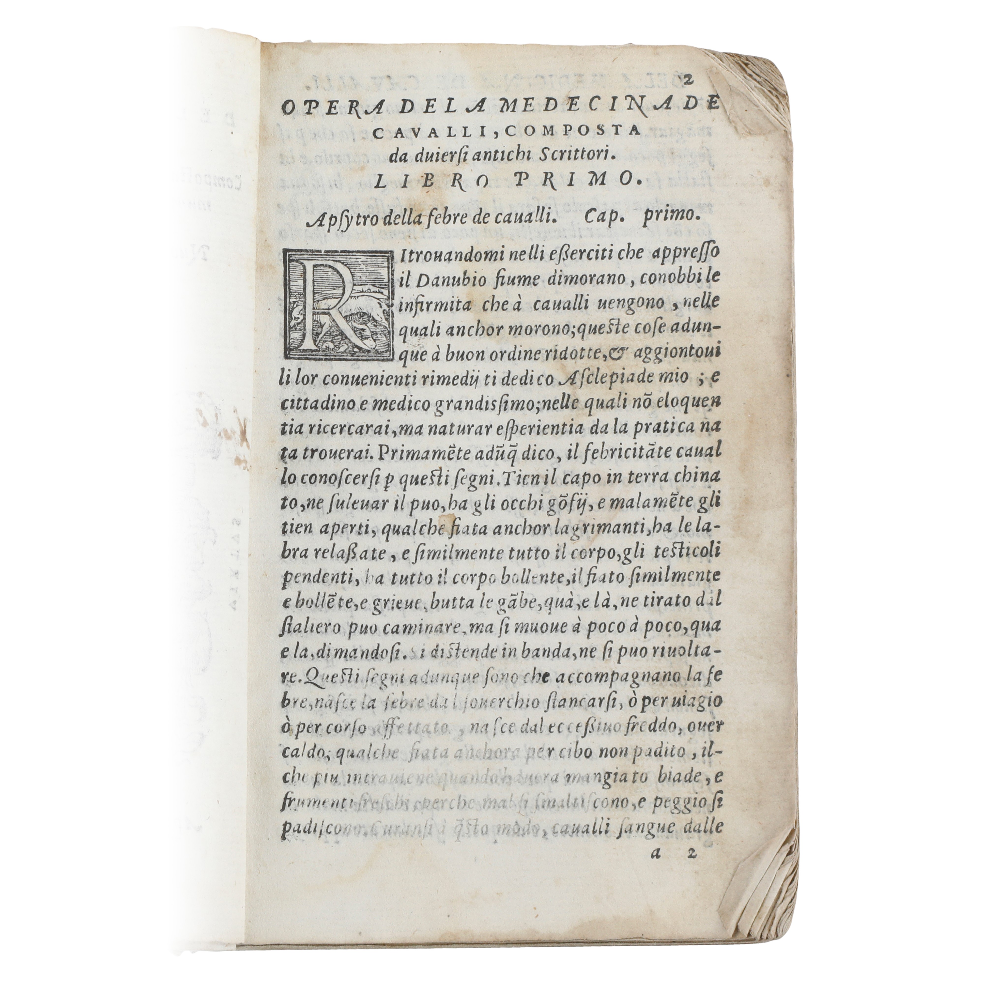 Opera della Medicina de Cavalli