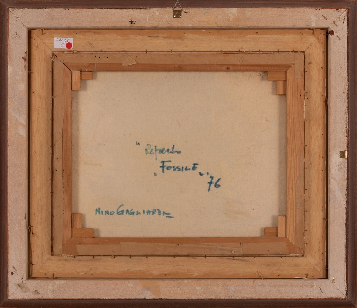 Nino Gagliardi - Reperto Fossile di Pesce