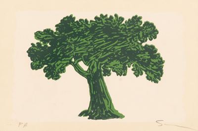 Albero