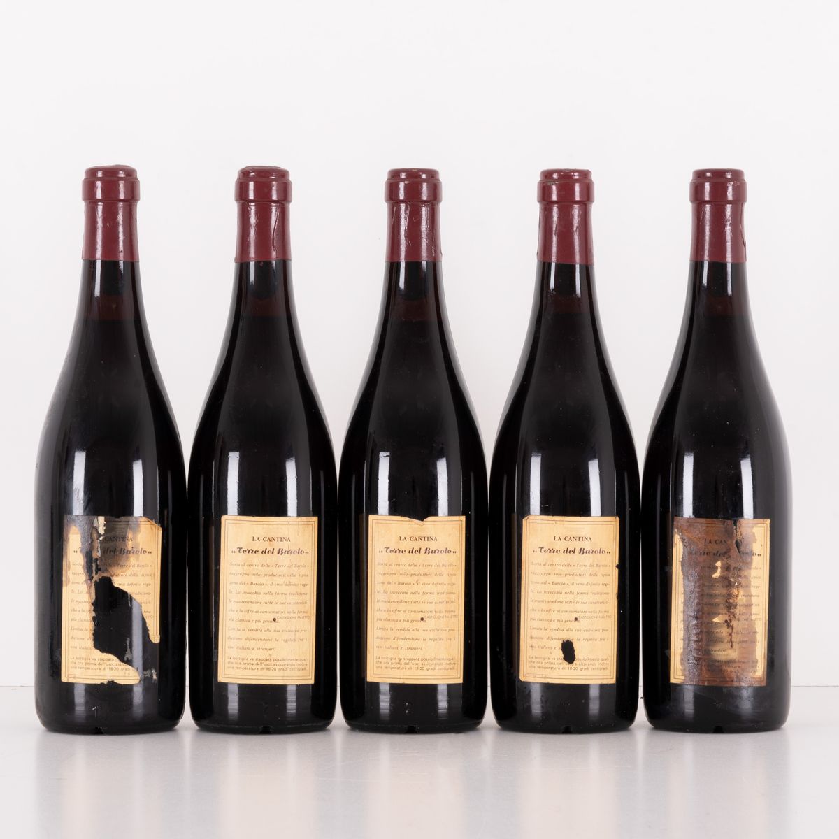 Lotto di 5 Bottiglie Barolo Terre del Barolo