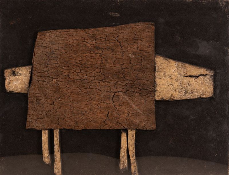 Roberto Crippa - Il Tapiro