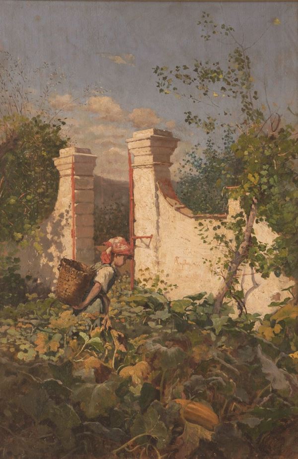 Coffa Andrea - La raccolta delle zucche