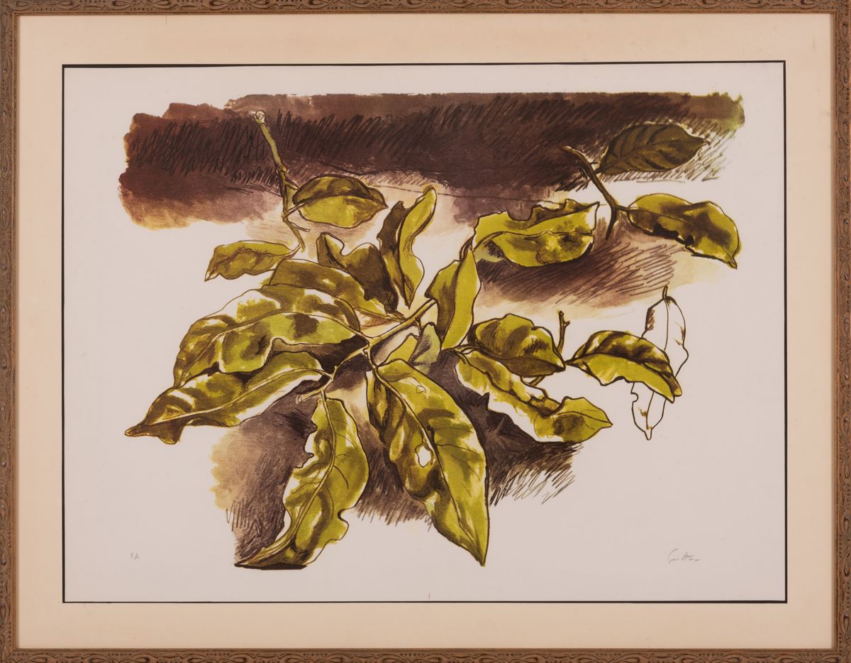 Renato Guttuso - Foglie di Limone
