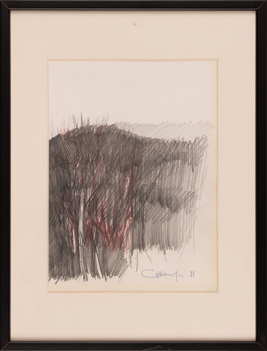 Giancarlo Cazzaniga - Composizione