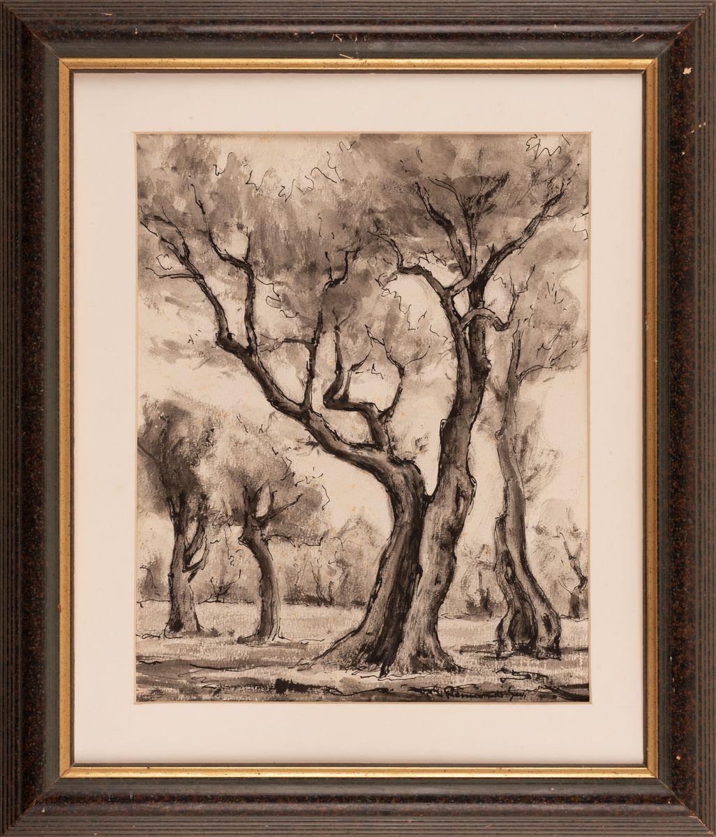 Aldo Raimondi - Veduta di Desenzano