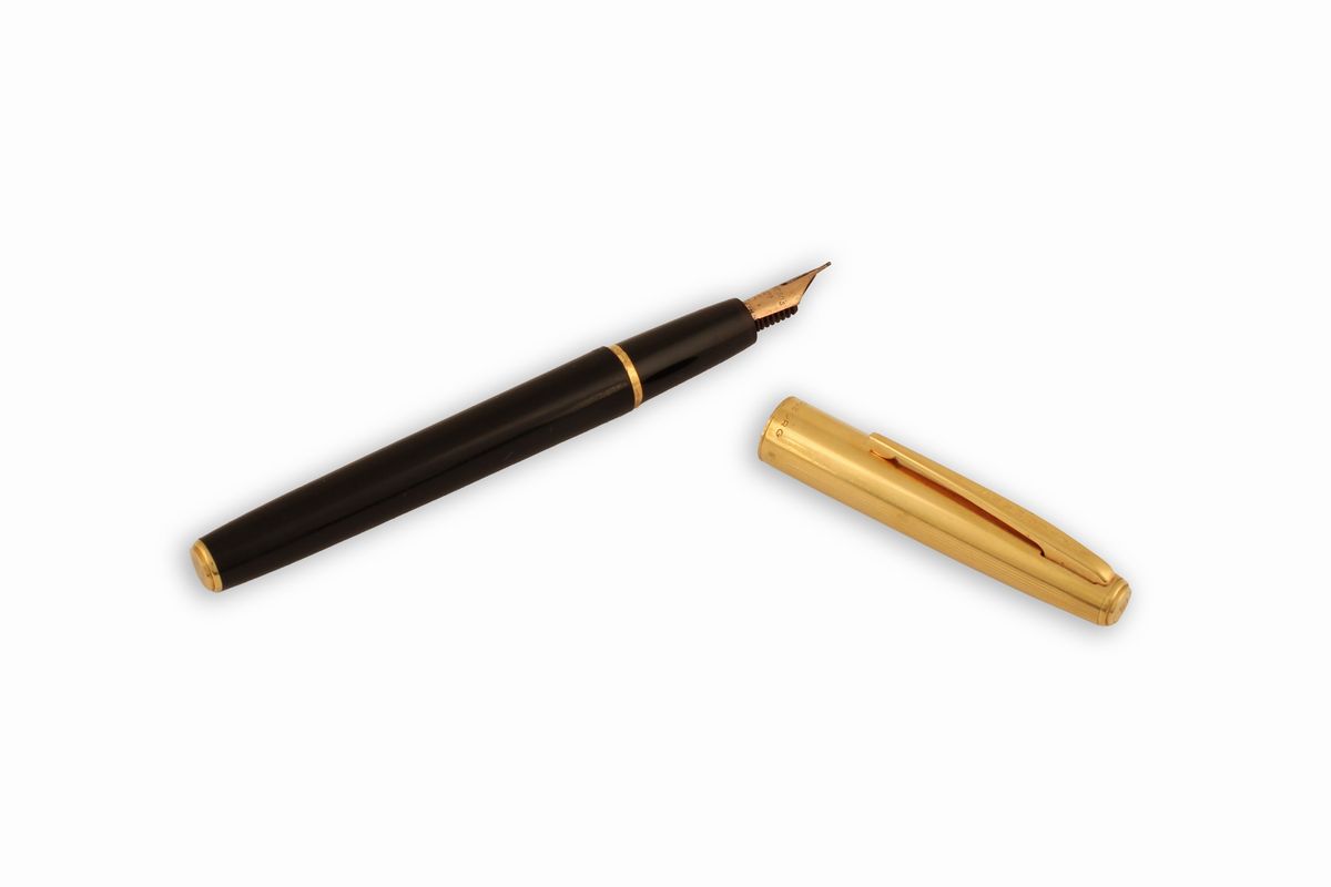 Penna Stilo Waterman con Pennino in Oro
