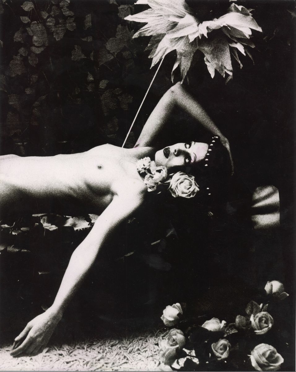 Irina Ionesco - Fafa