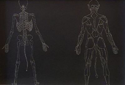 Anatomia di Diavolo