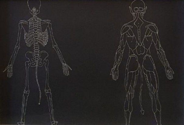 H.h. Lim - Anatomia di Diavolo