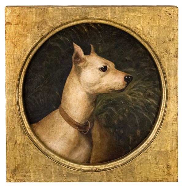 Ritratto di cane da caccia