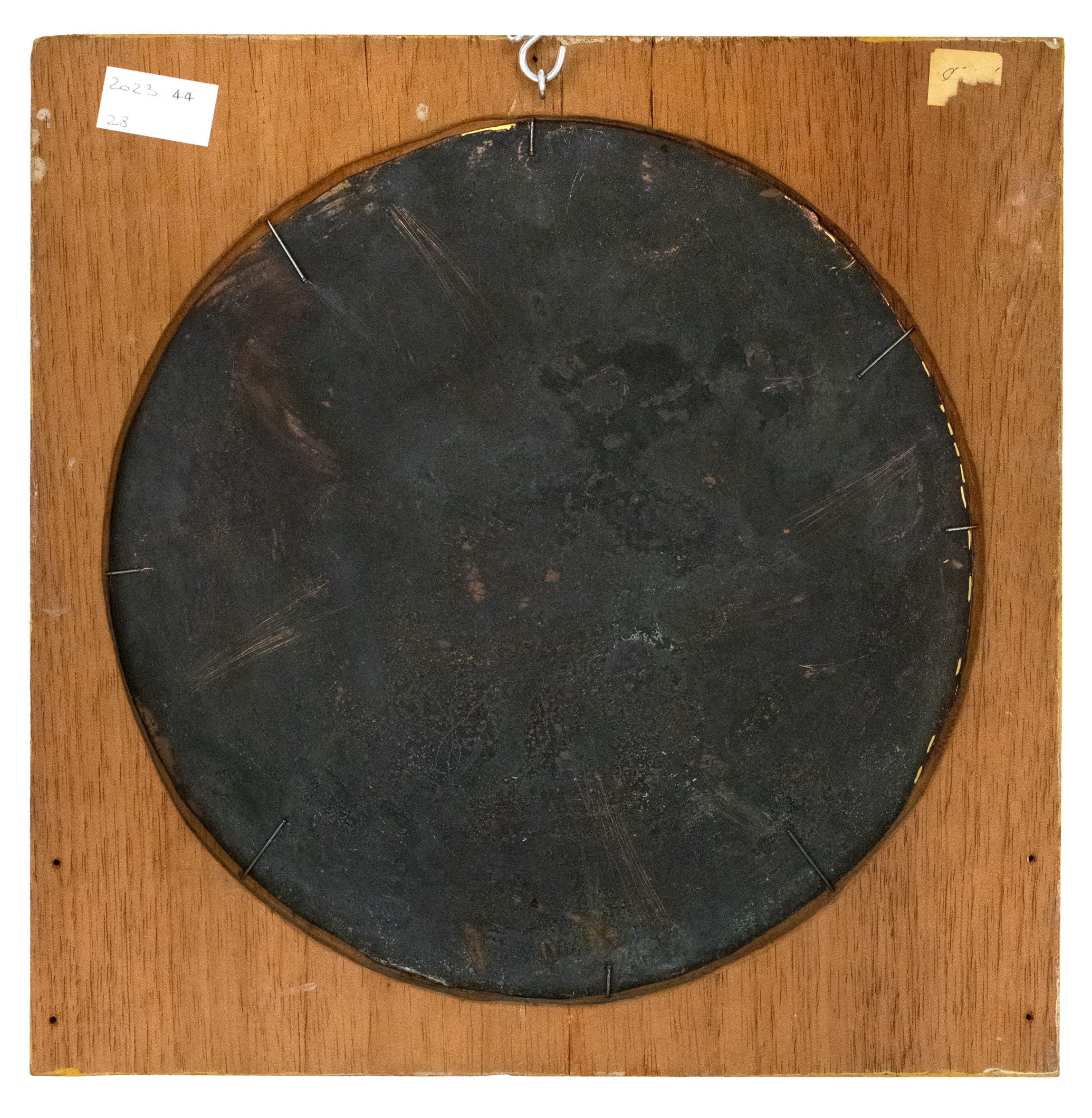 Ritratto di cane da caccia