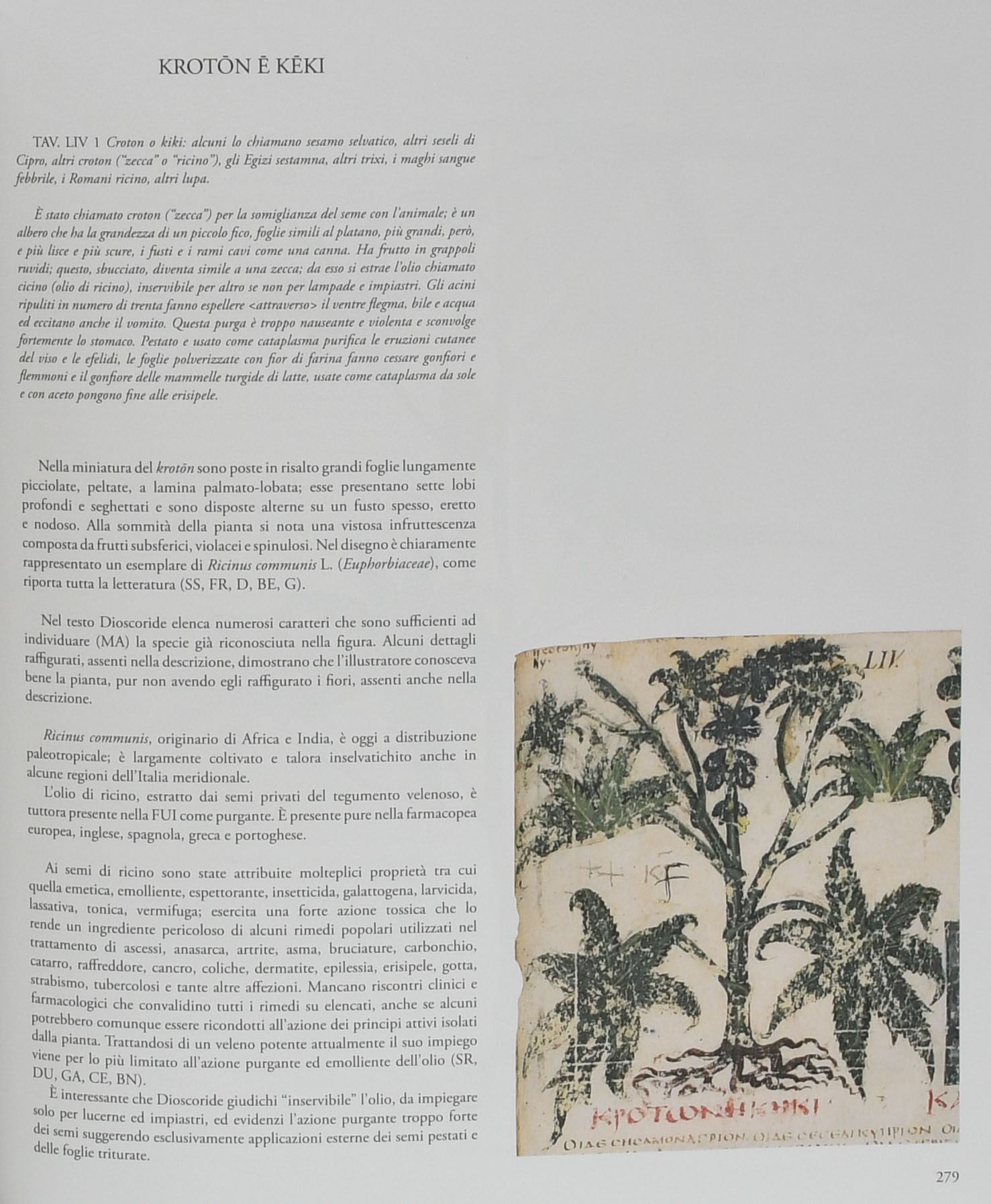 De Materia Medica. Il discoride di Napoli - Editore Aboca