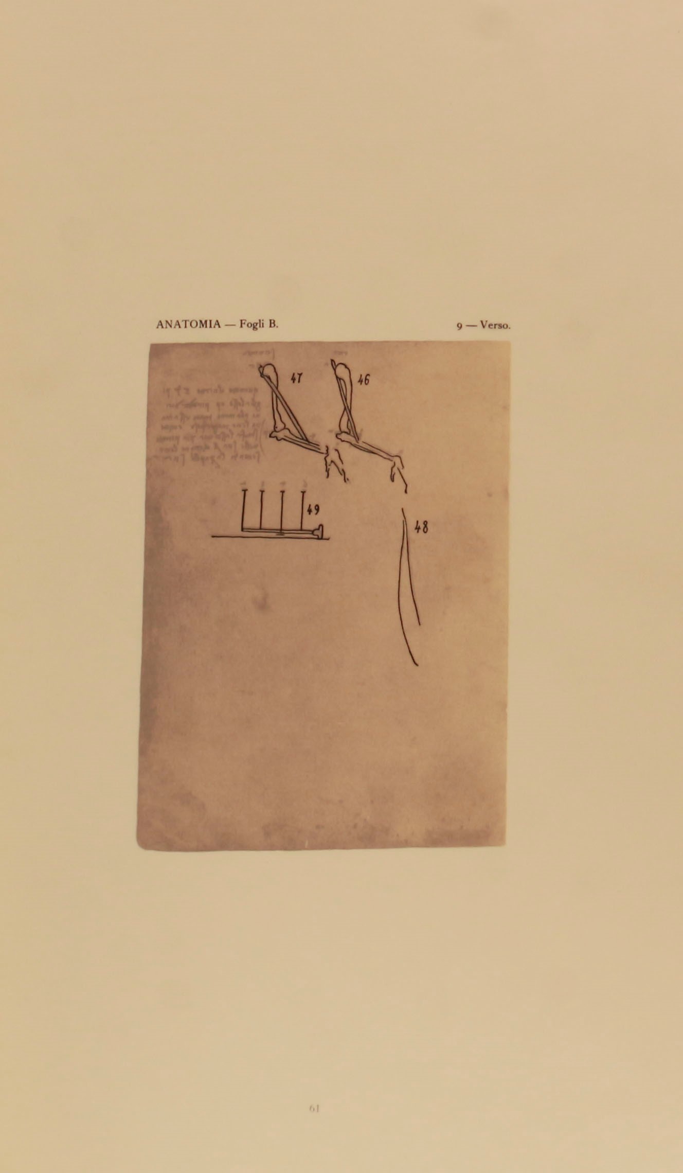 Lotto di 4 volumi. Leonardo da Vinci "Dell'Anatomia" - Edizioni Iota