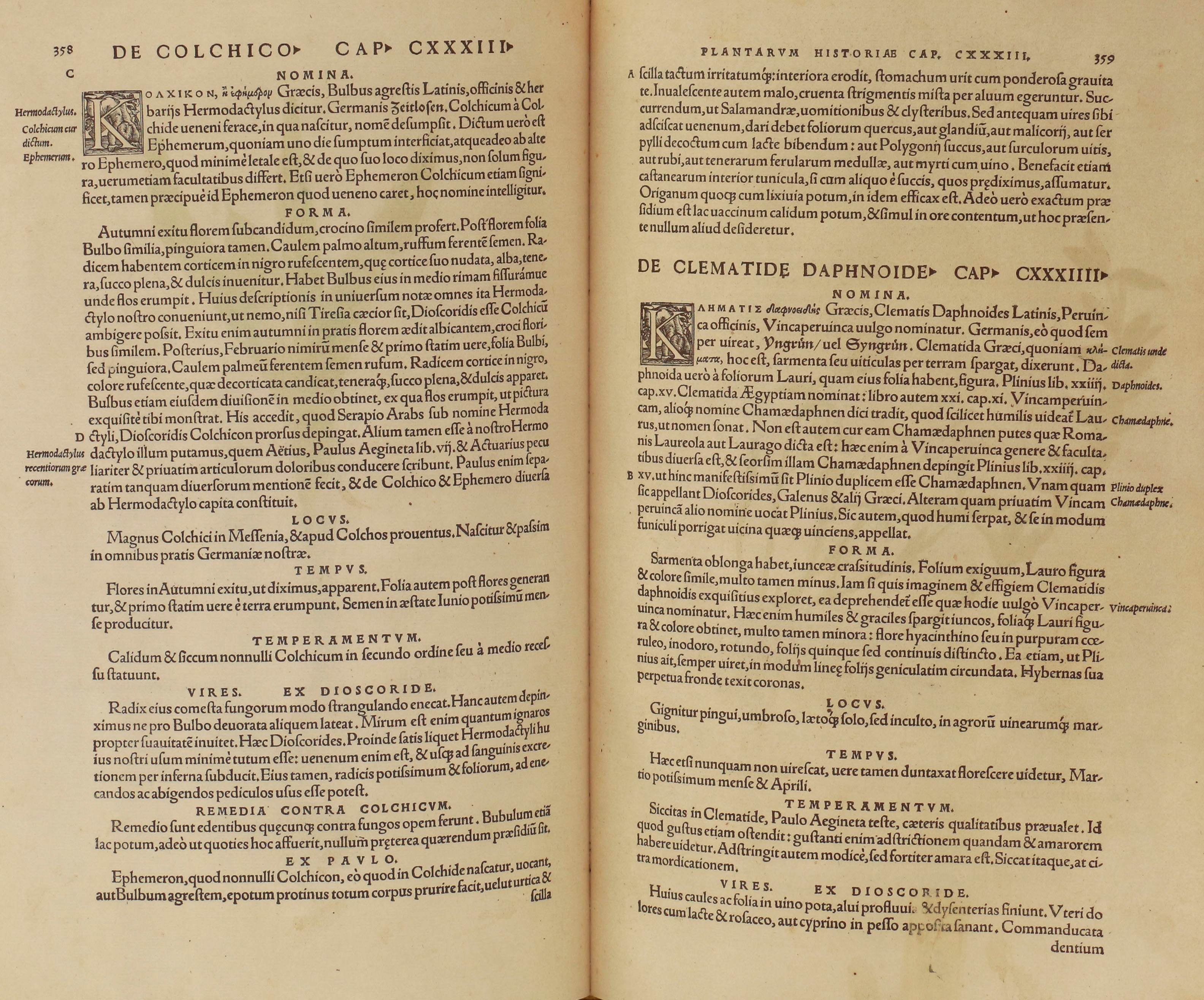De Historia Stirpium Commentari Insignes - Leonhart Fuchs