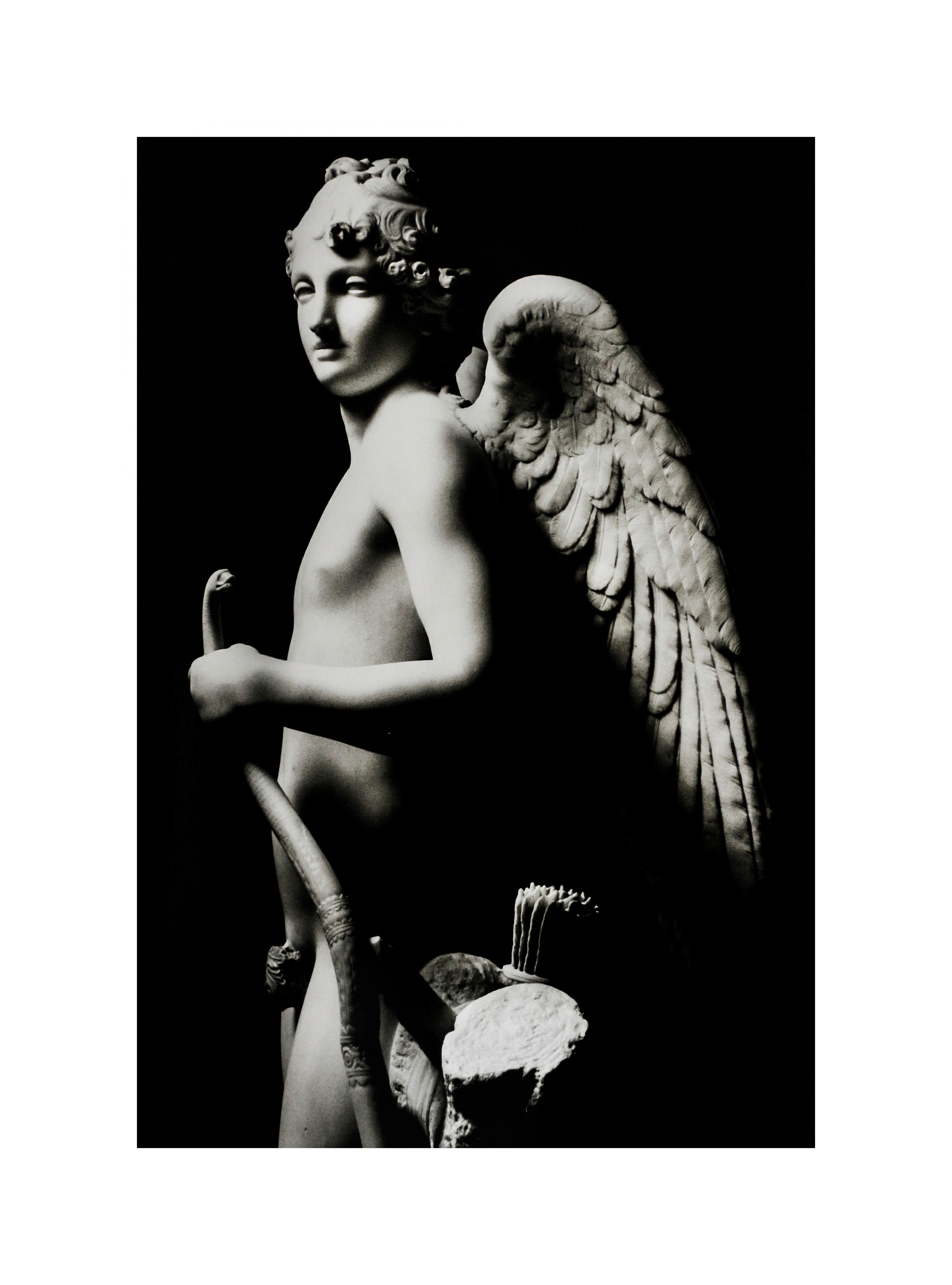 Pavanello, Giuseppe / Jodice, Mimmo. Antonio Canova : il segno della bellezza. Testi di Giuseppe ...