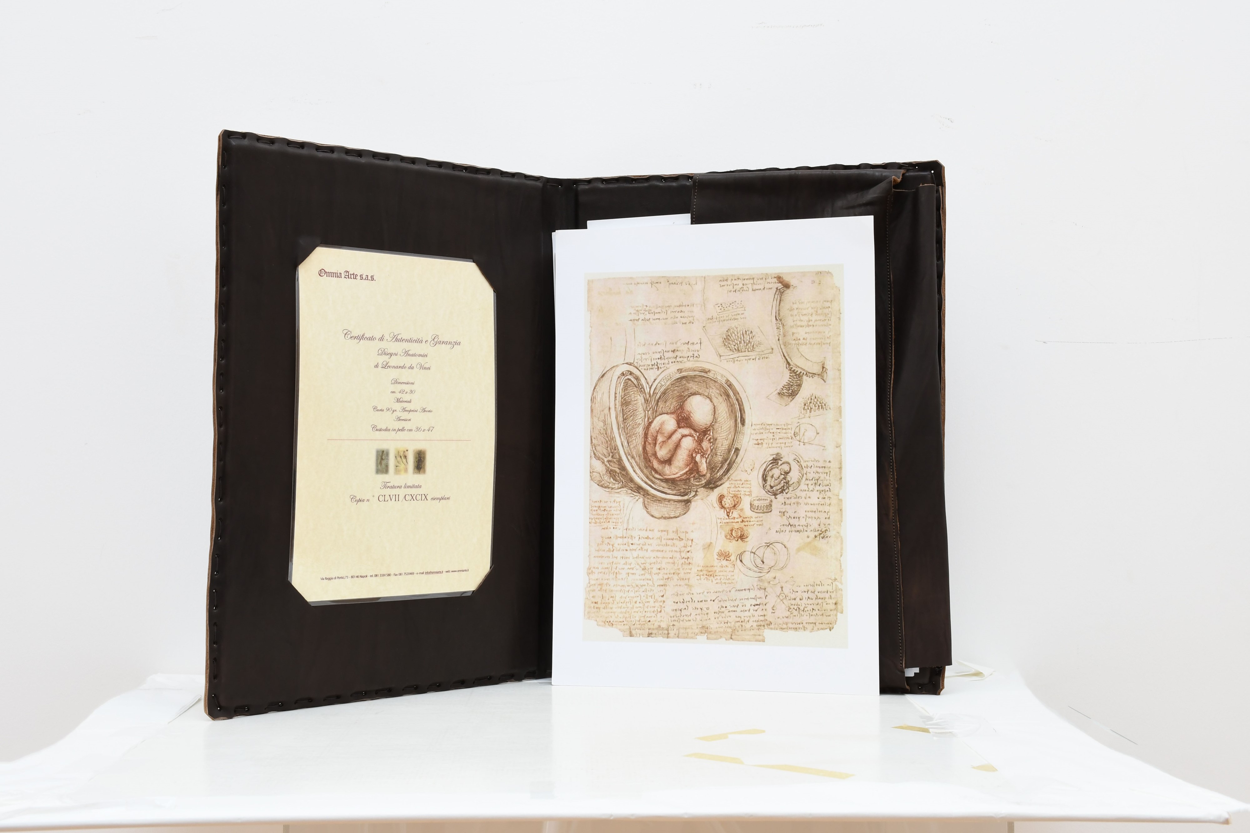 Da Vinci, Leonardo. Il Codice di Anatomia