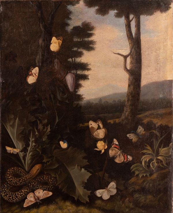 Pittore olandese del XVII secolo - Paesaggio con farfalle e serpente