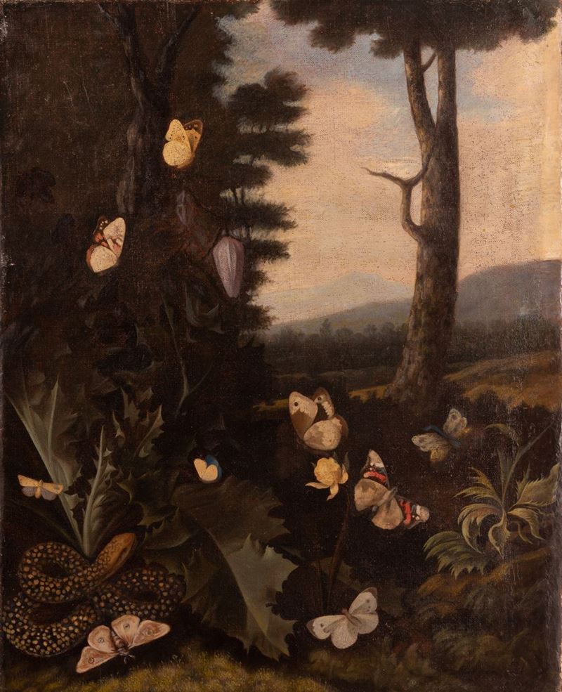 Pittore Olandese del XVII Secolo - Paesaggio con Farfalle e Serpente