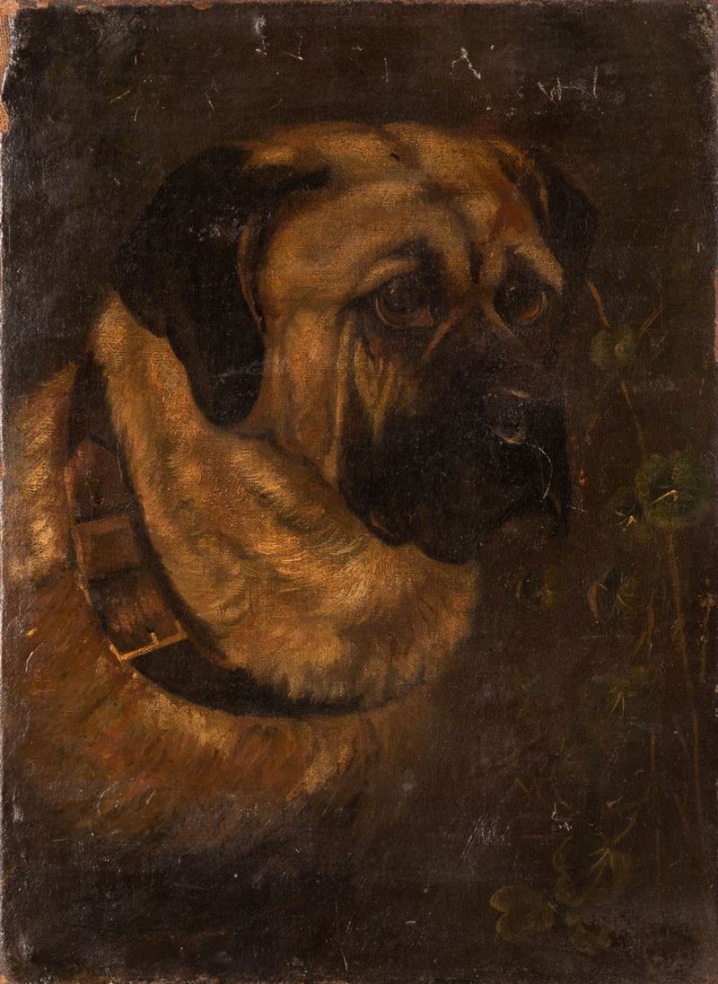 Filippo Palizzi - Testa Canina