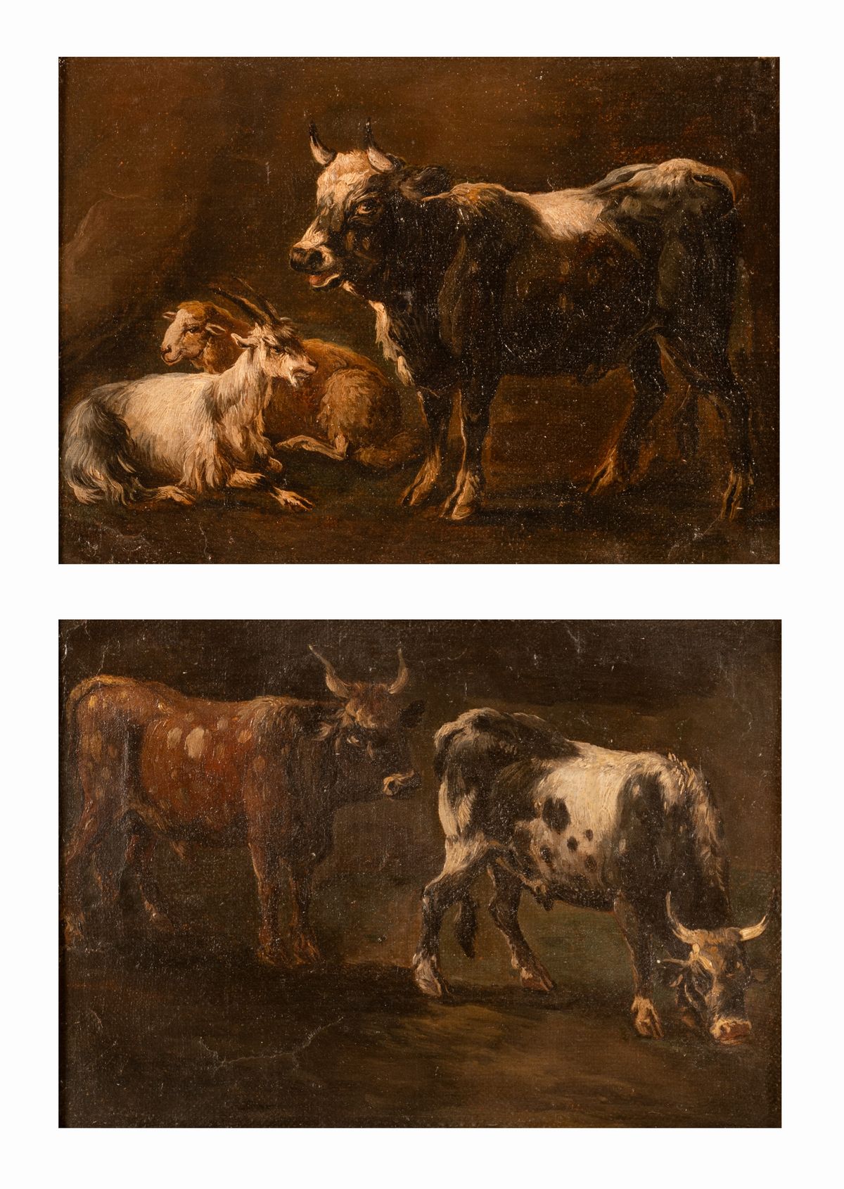 Armenti nella stalla