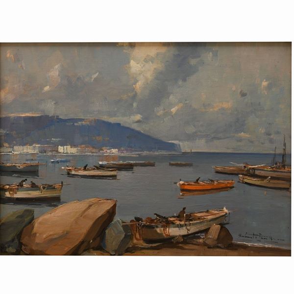 Coppia di marine meridionali 