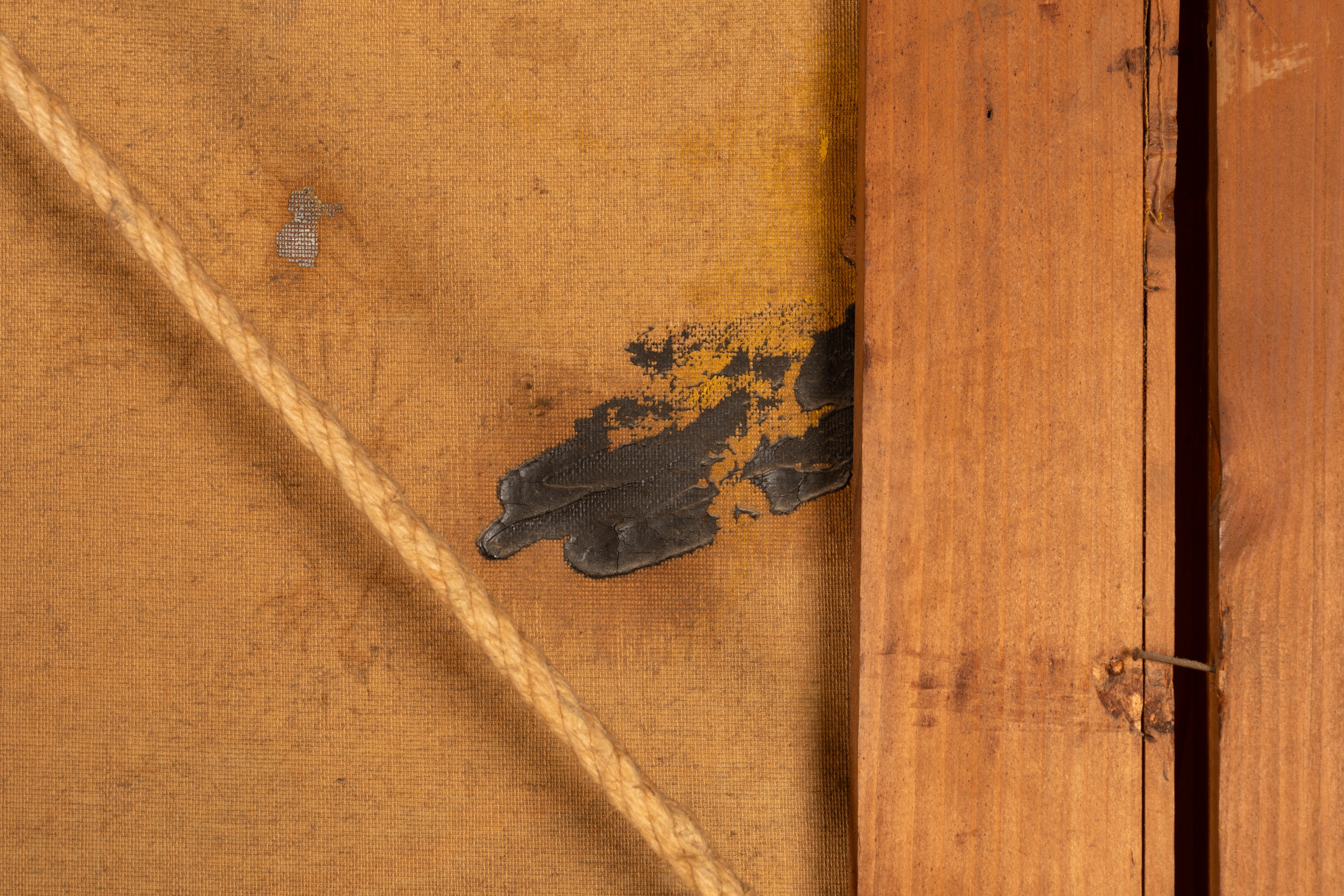 Donne che raccolgono fiori