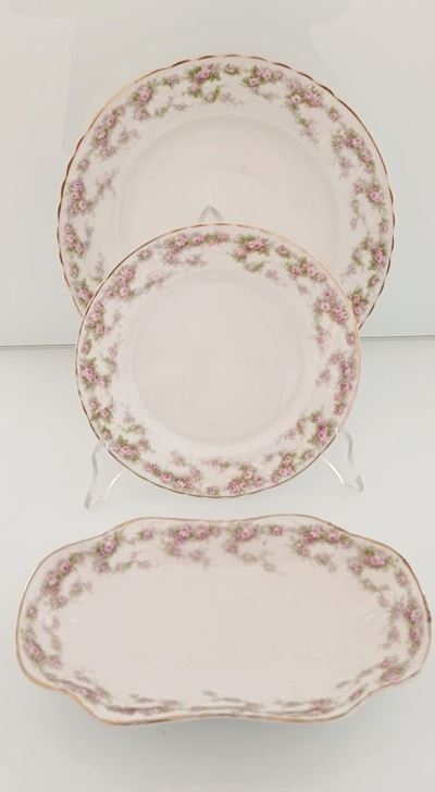 Servizio Piatti Bavaria con Decoro a Roselline nella Tesa e ai Bordi, Marchiato P.t. ( Tirschenre...