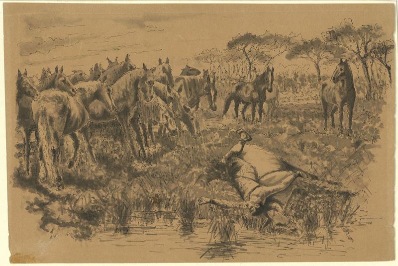 Ruggero Panerai - Il Cavaliere Disarcionato