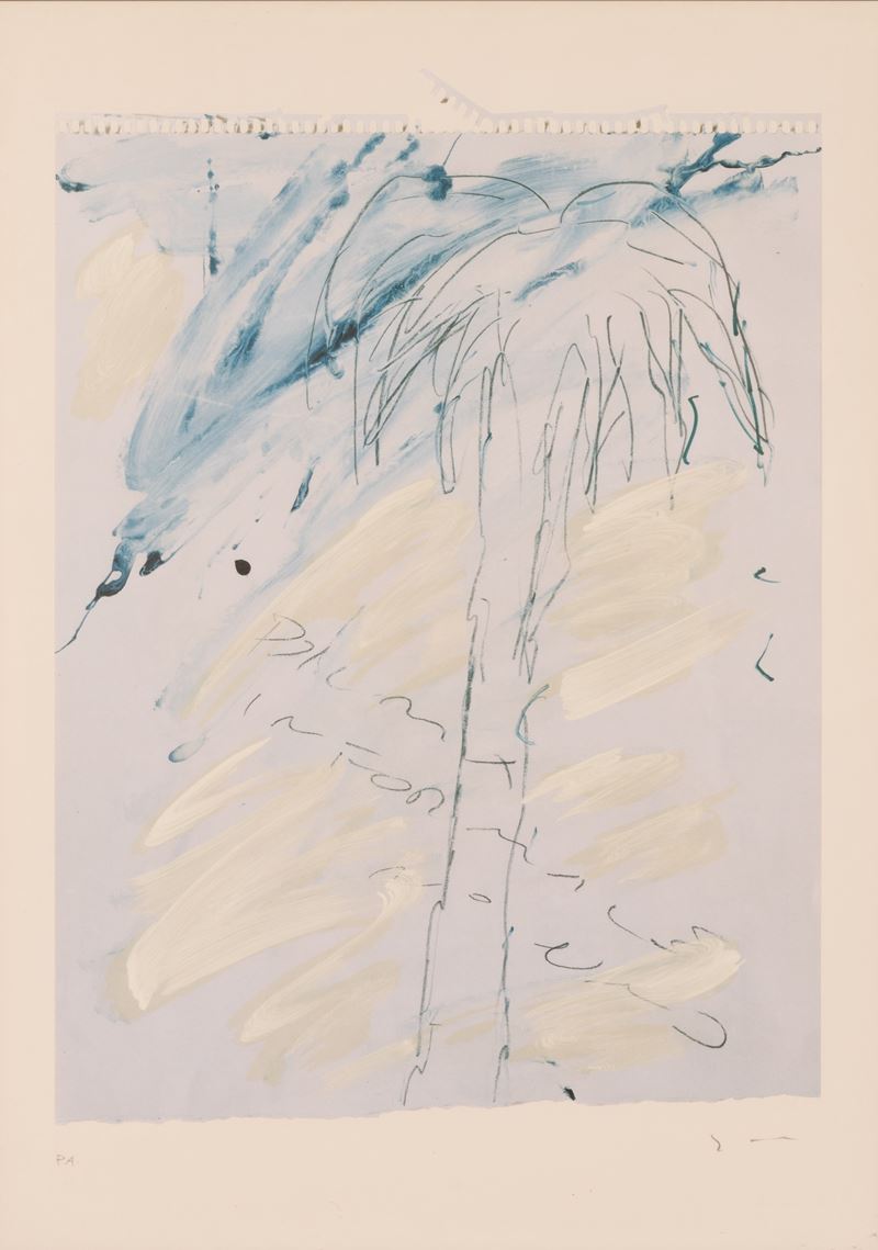 Palma informale n° uno