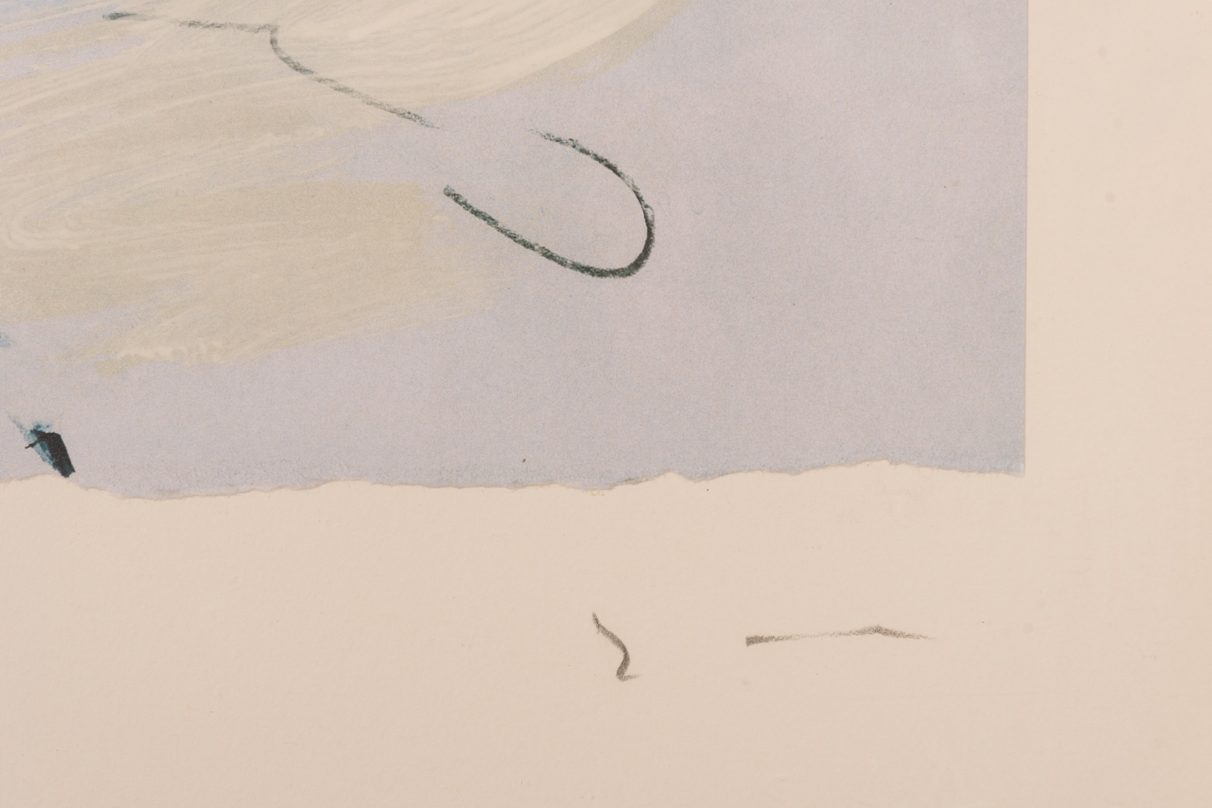 Palma informale n° uno