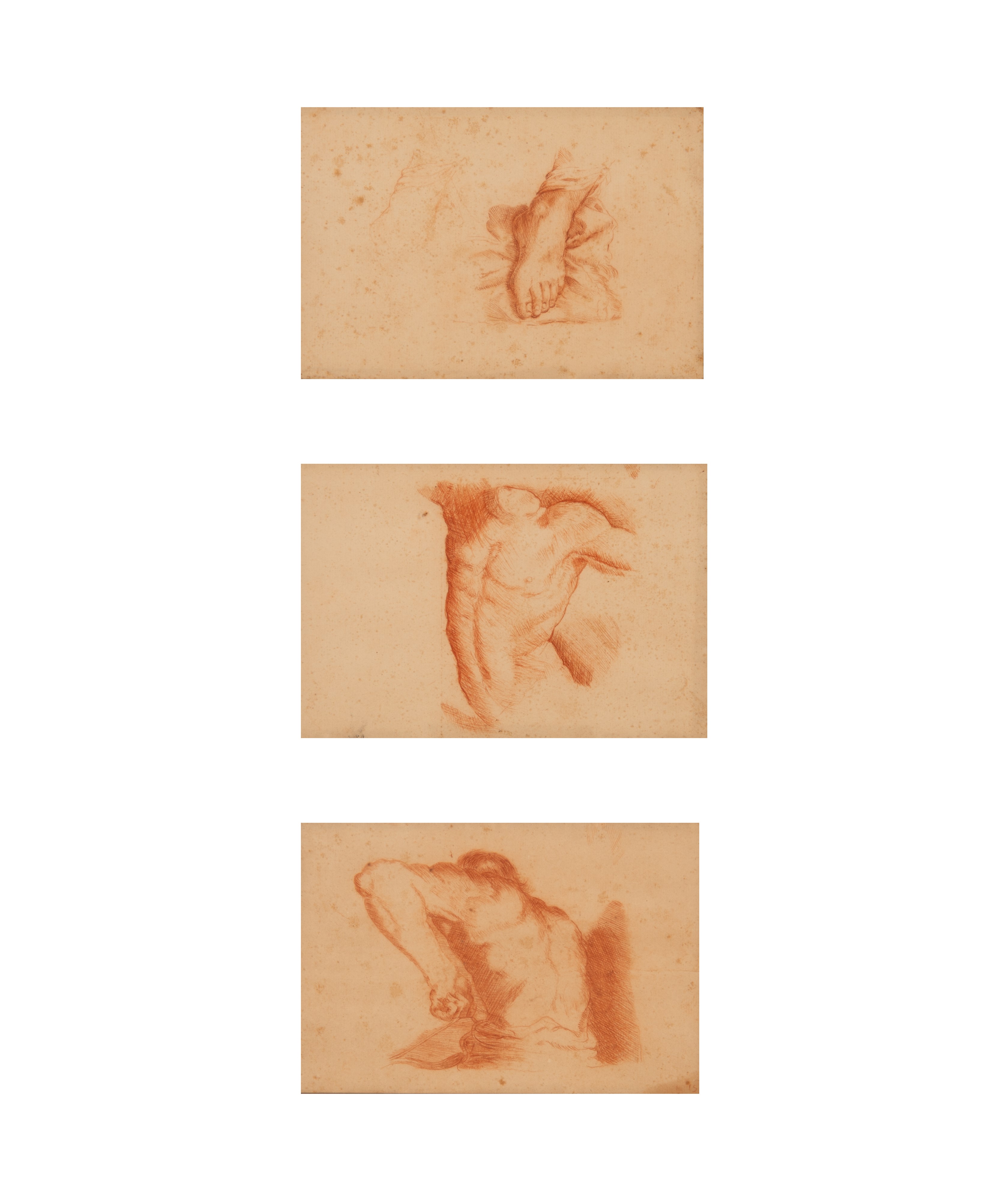 Lotto di tre sanguigne studi del corpo umano