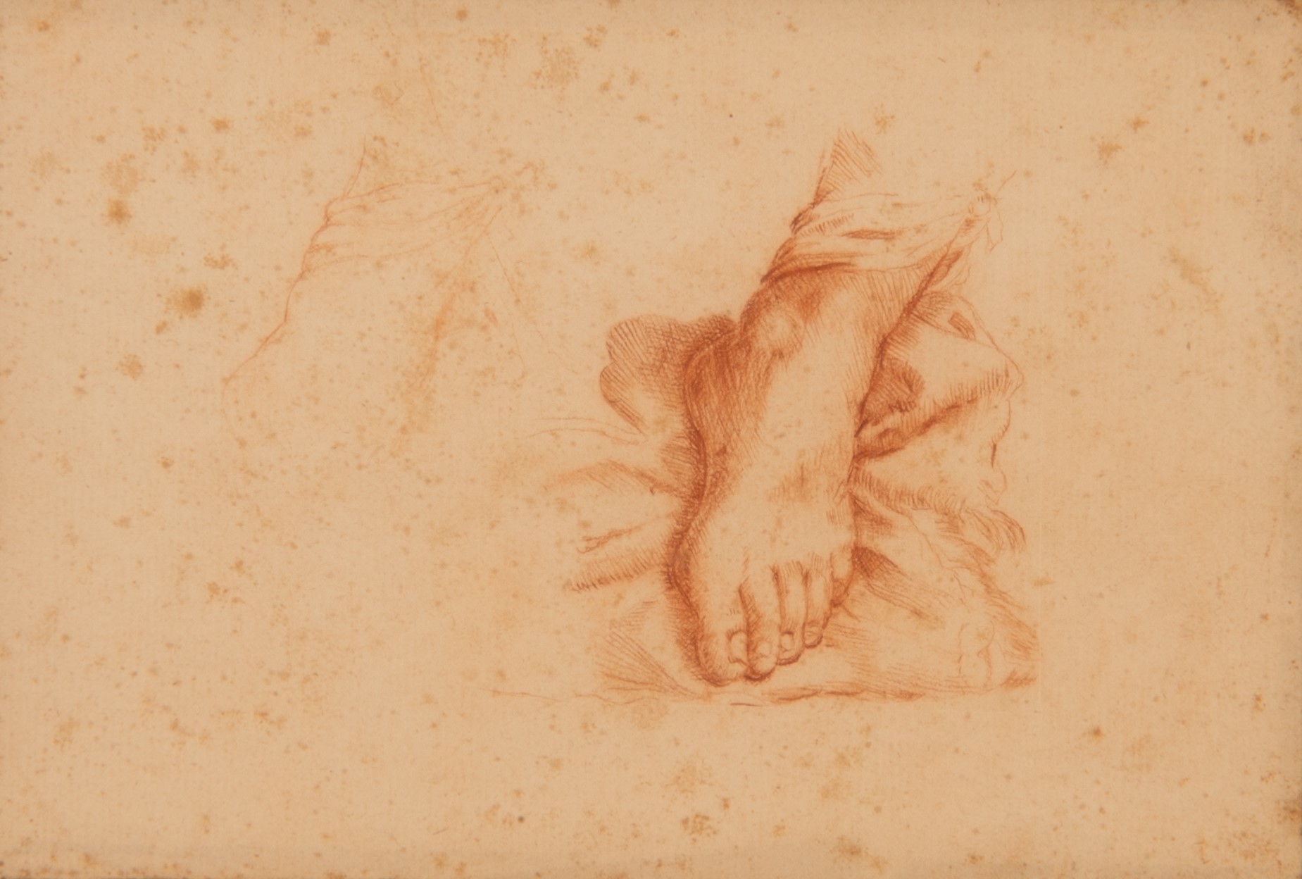 Lotto di tre sanguigne studi del corpo umano