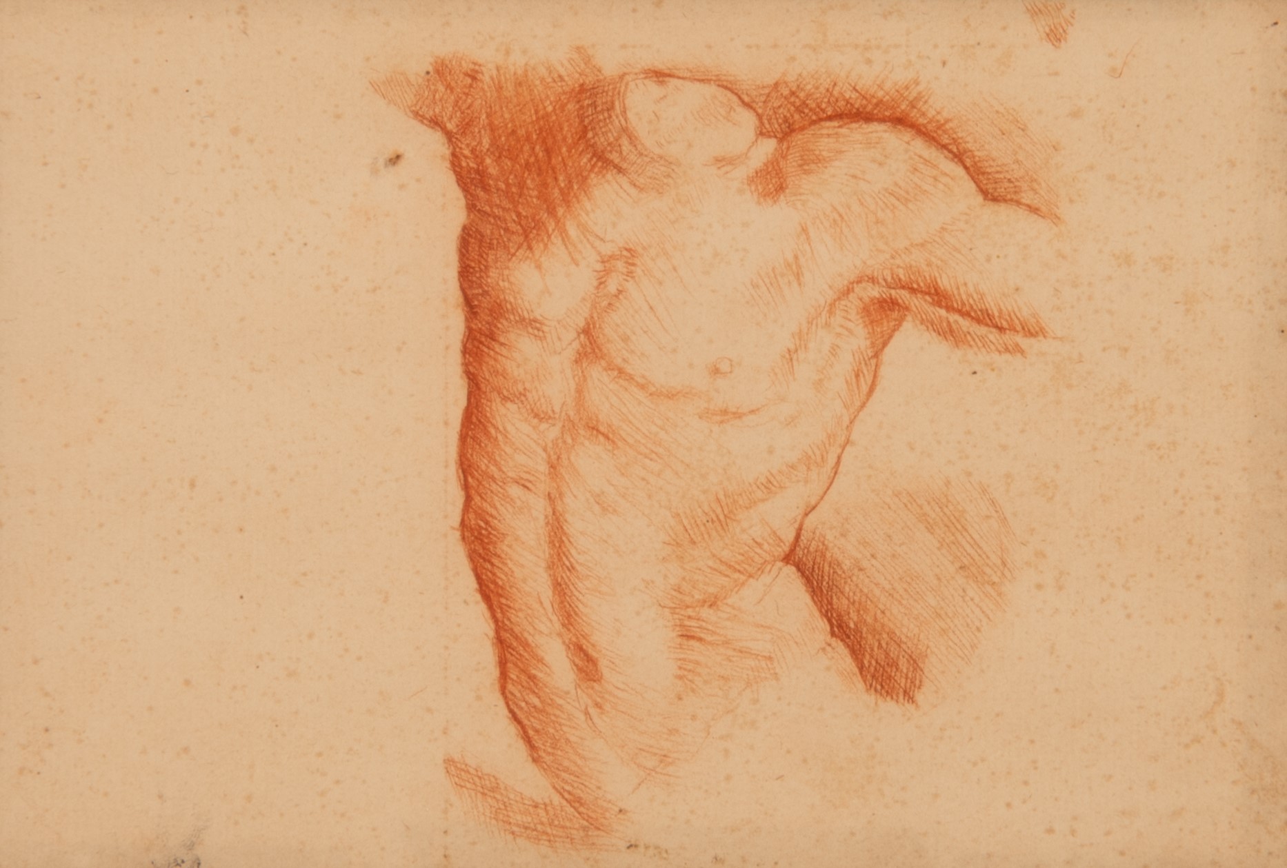 Lotto di tre sanguigne studi del corpo umano