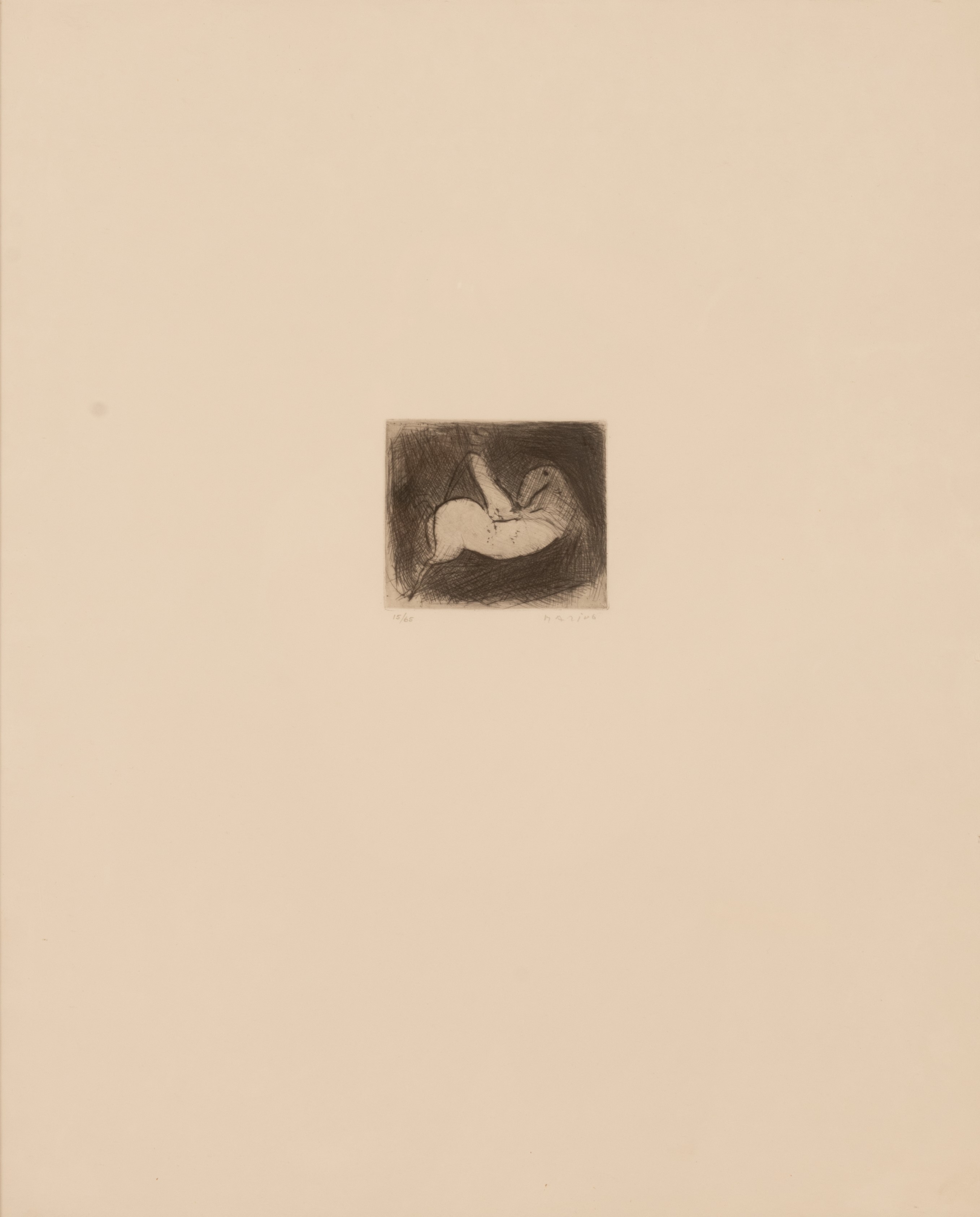 Cavallo e cavaliere