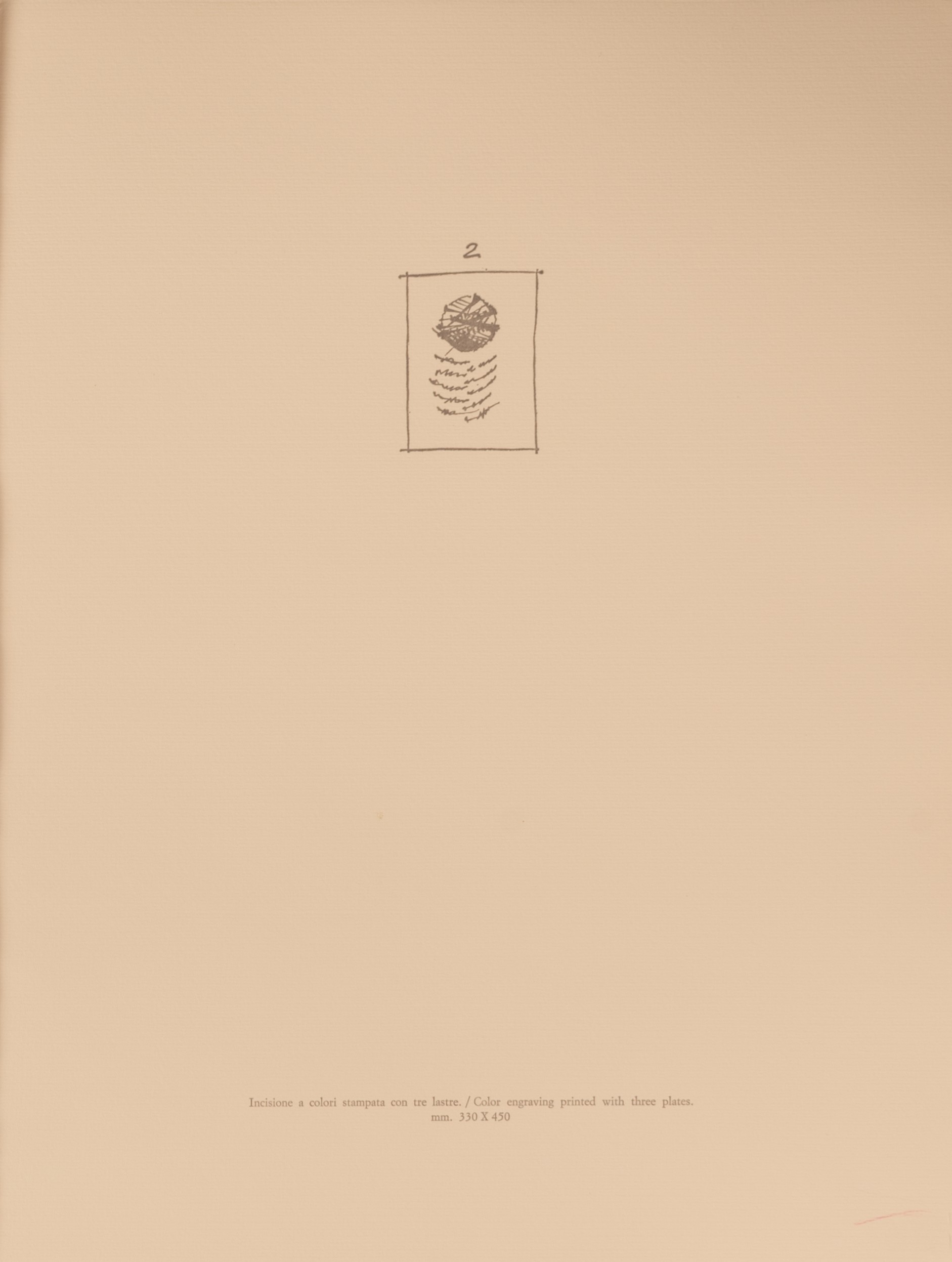 De- cantare Urbino. 72/99. Lotto composto da: Testo poetico di Miklos N.Varga e n.8 incisioni