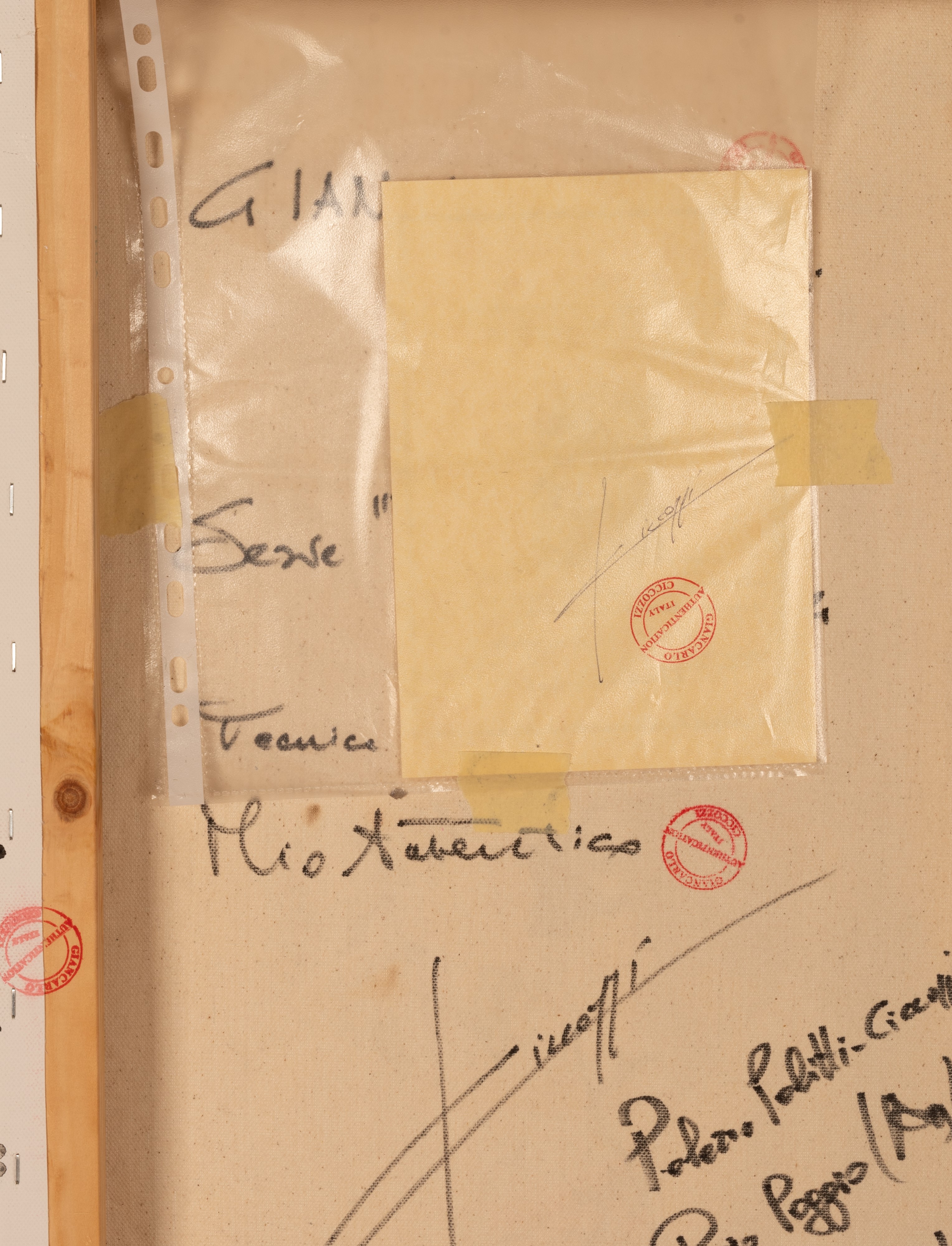 Gian Carlo Ciccozzi - Trasposizioni